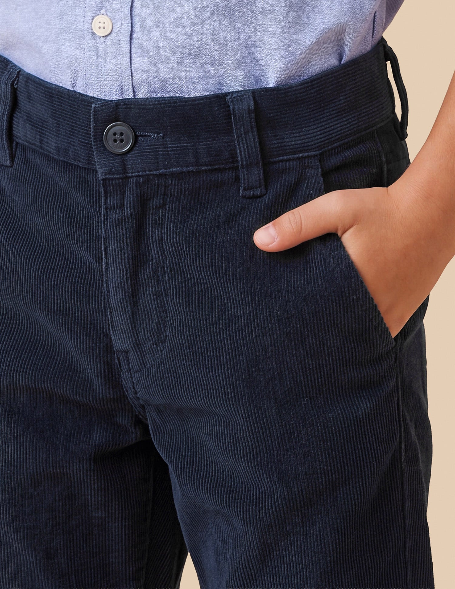 Corduroy Regular Fit Trousers Blue - U.S. Polo Assn. India | Large