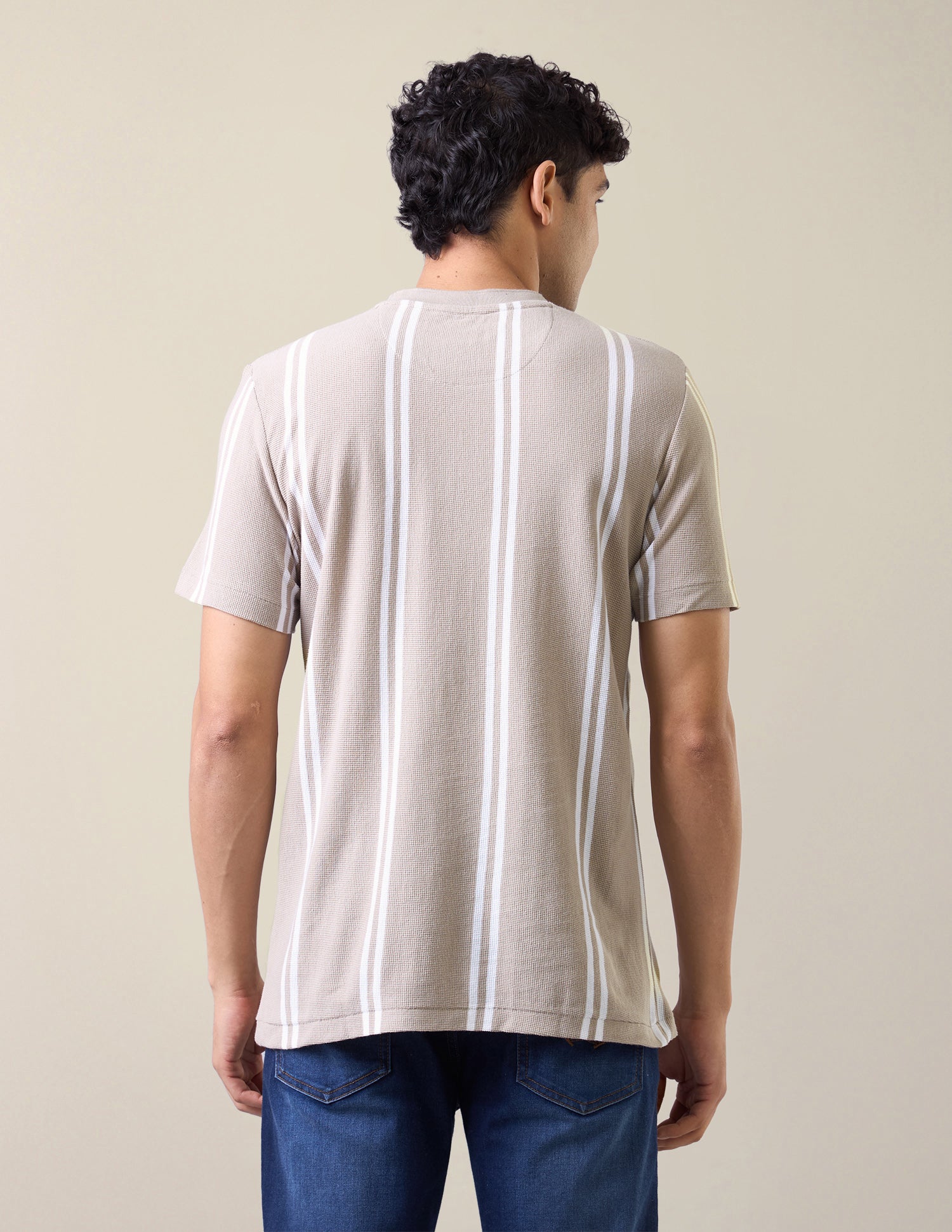 Vertical Striped Slim Fit T-Shirt Beige - U.S. Polo Assn. India | Large