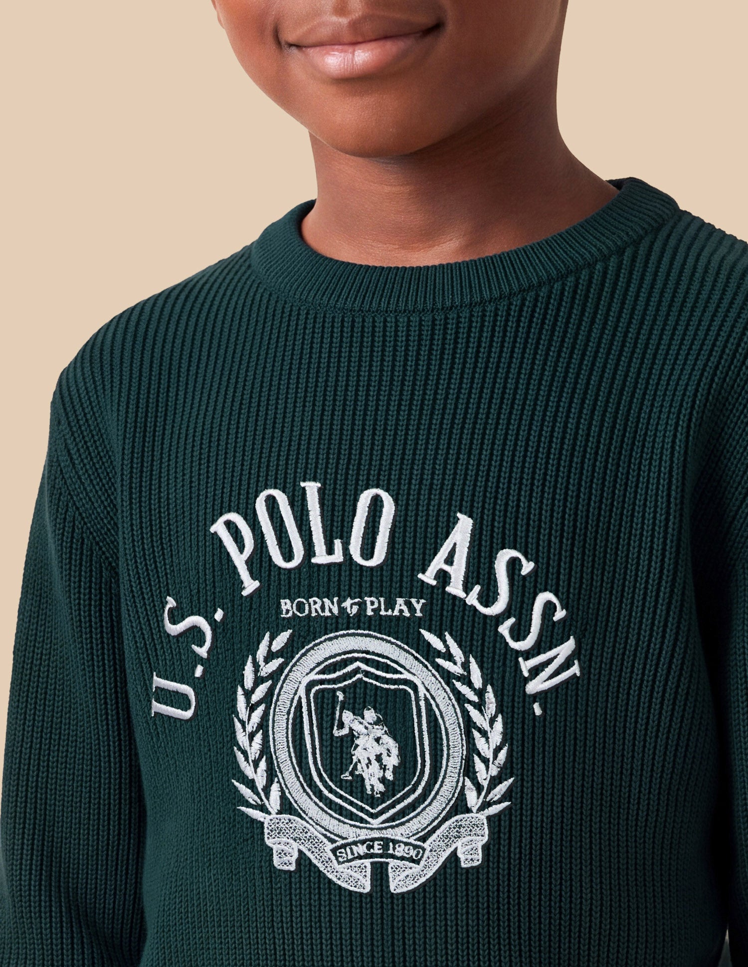 Brand Embroidered Regular Fit Sweater Green - U.S. Polo Assn. India | Large