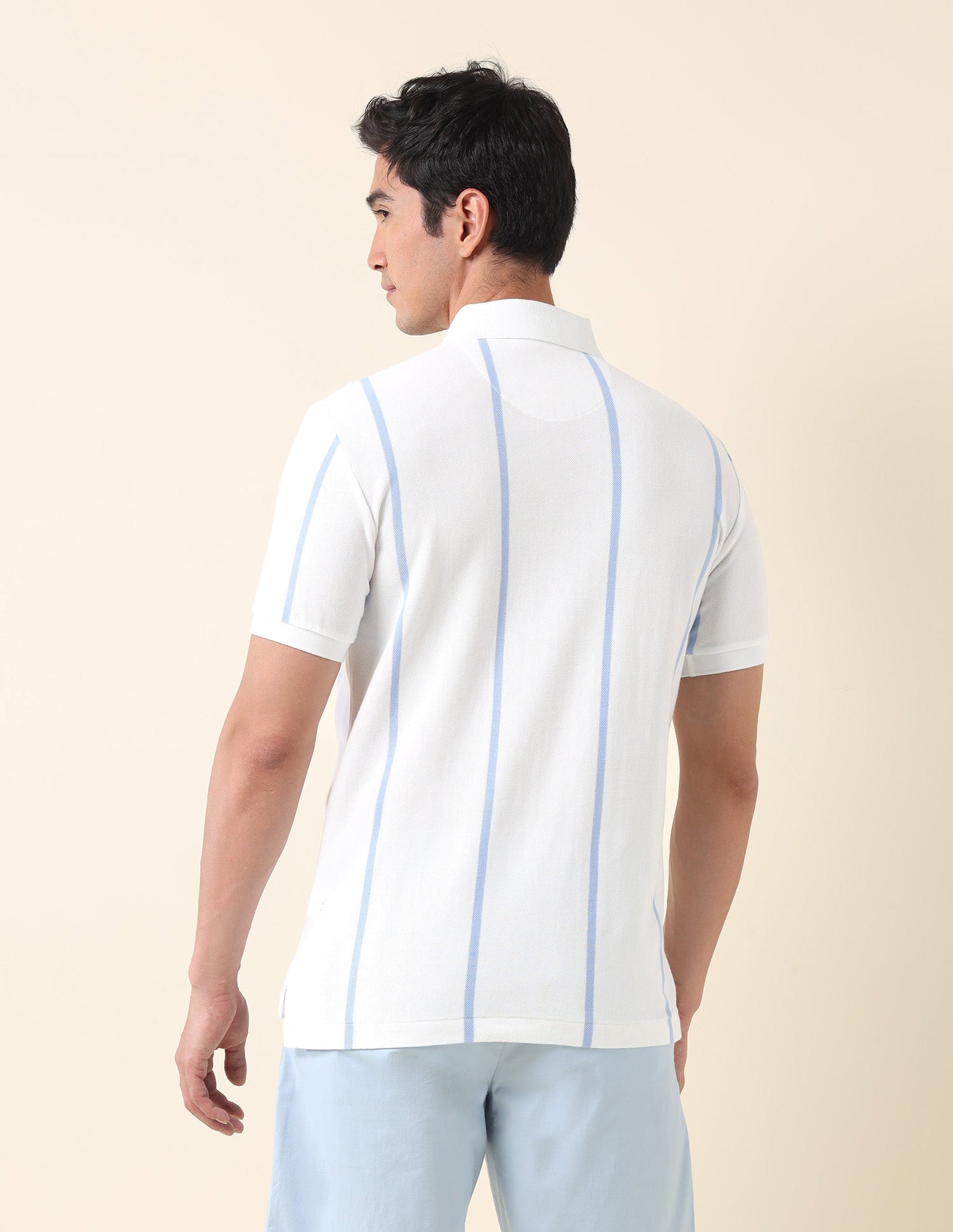 Vertical Striped Summer Splash Polo Shirt White - U.S. Polo Assn. India | Large