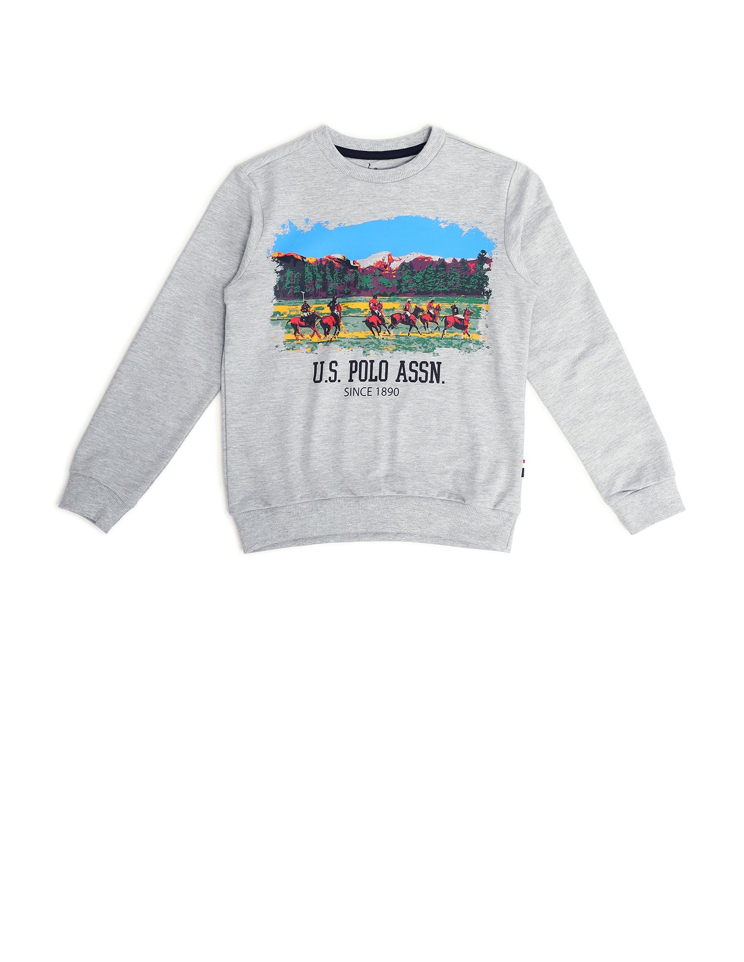 Boys Graphic Printed Sweatshirt Nude - U.S. Polo Assn. India | Large