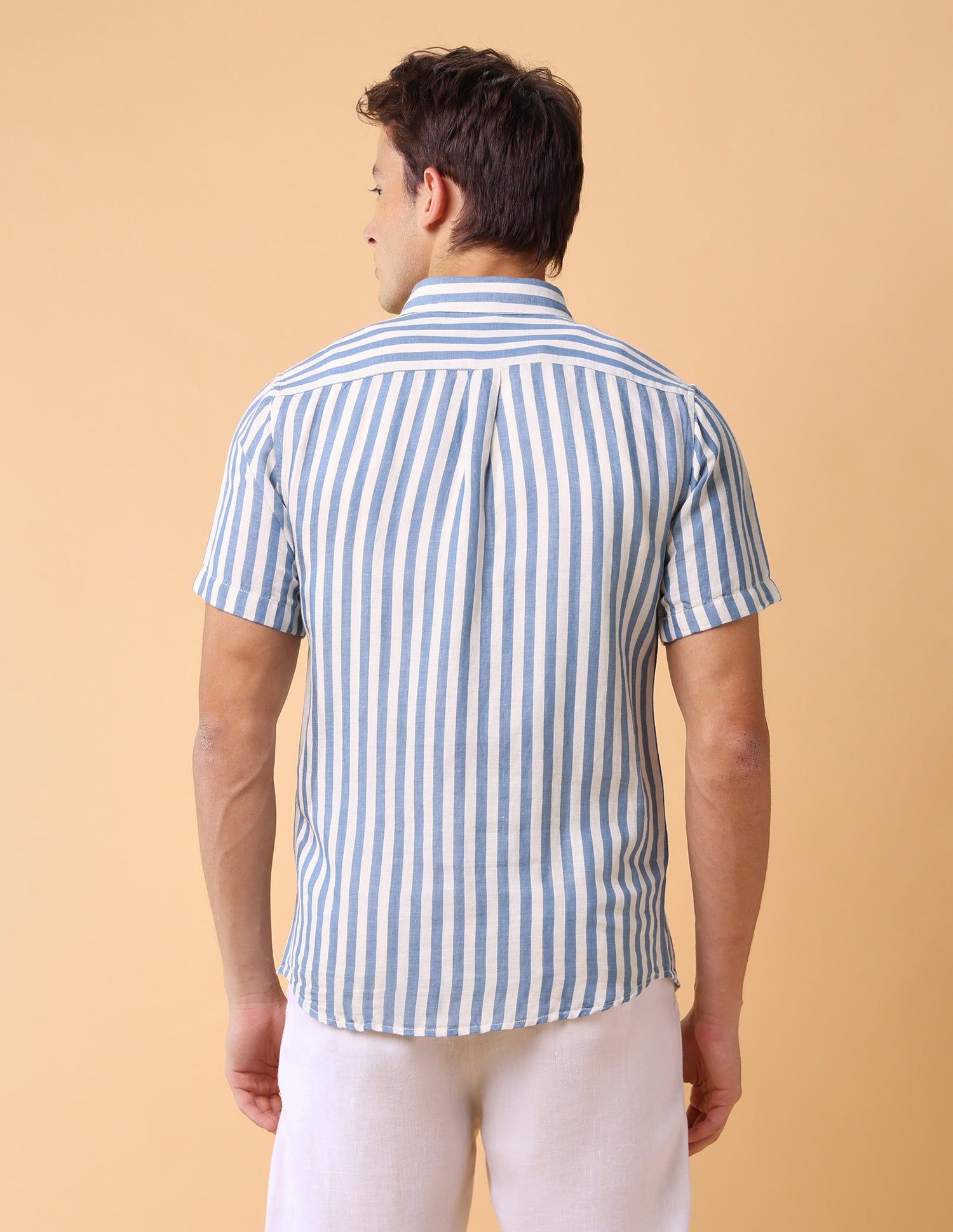 Vertical Striped Regular Fit Shirt Blue - U.S. Polo Assn. India | Large