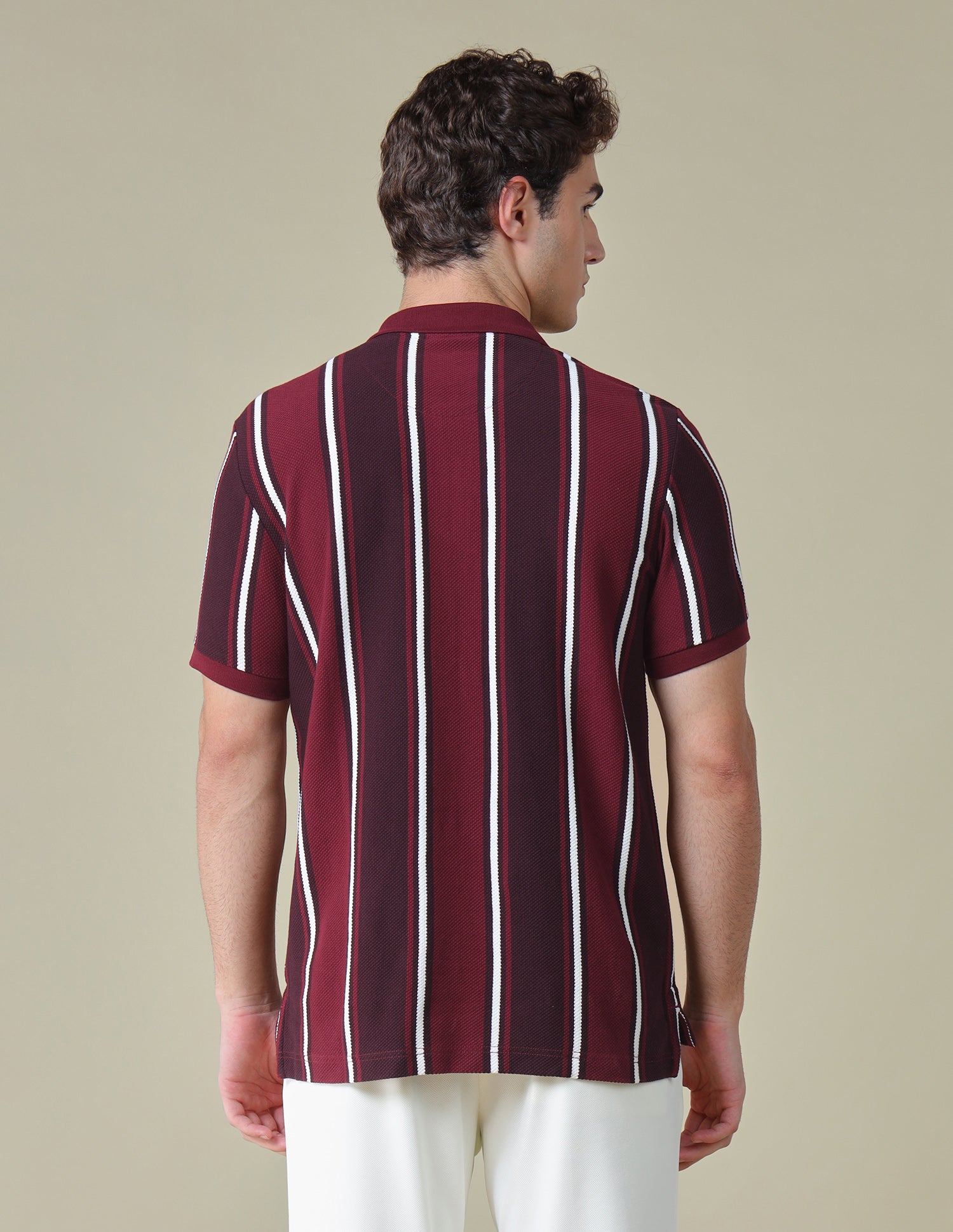 Vertical Striped Regular Fit Polo Shirt Purple - U.S. Polo Assn. India | Large