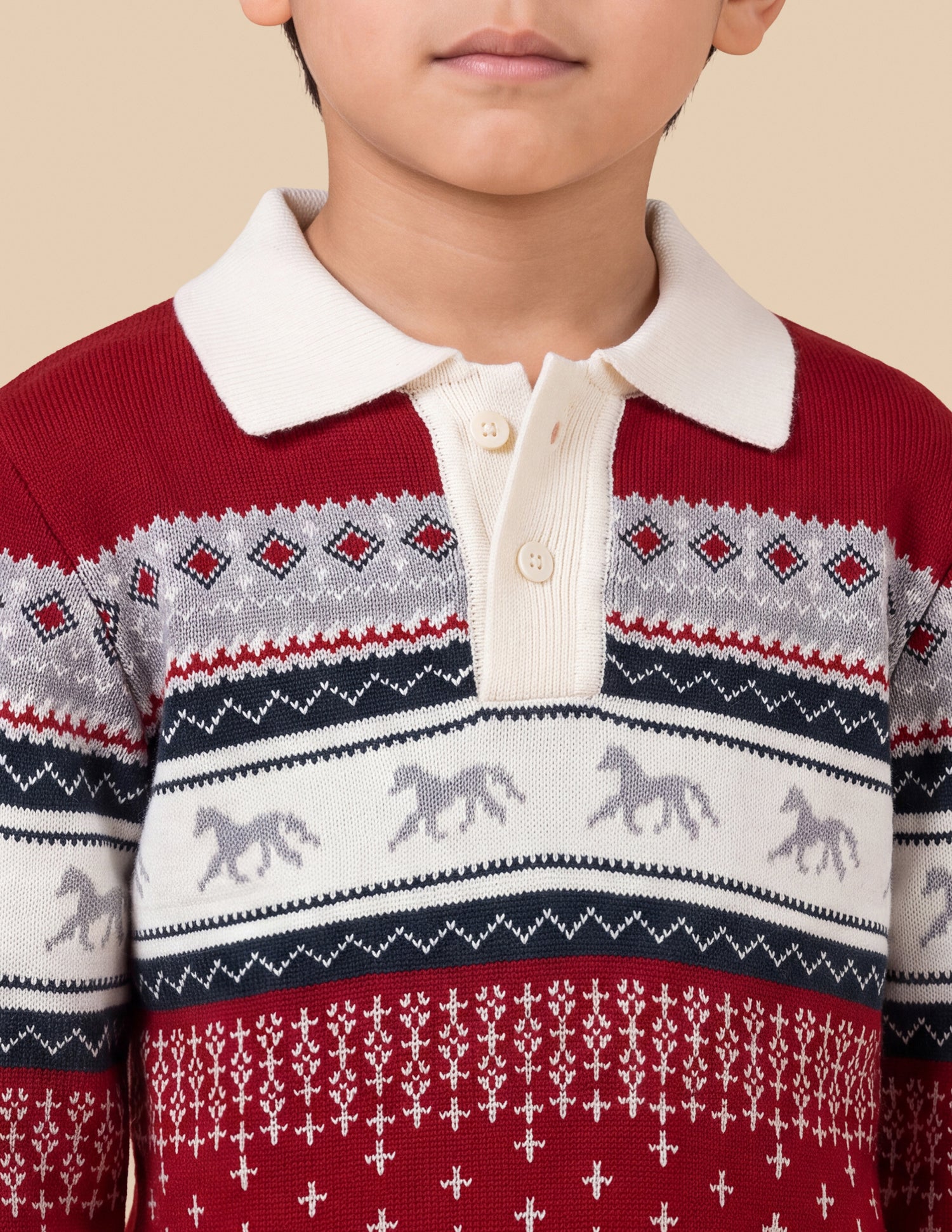 Geometric Patterned Knit Regular Fit Sweater Red - U.S. Polo Assn. India | Large