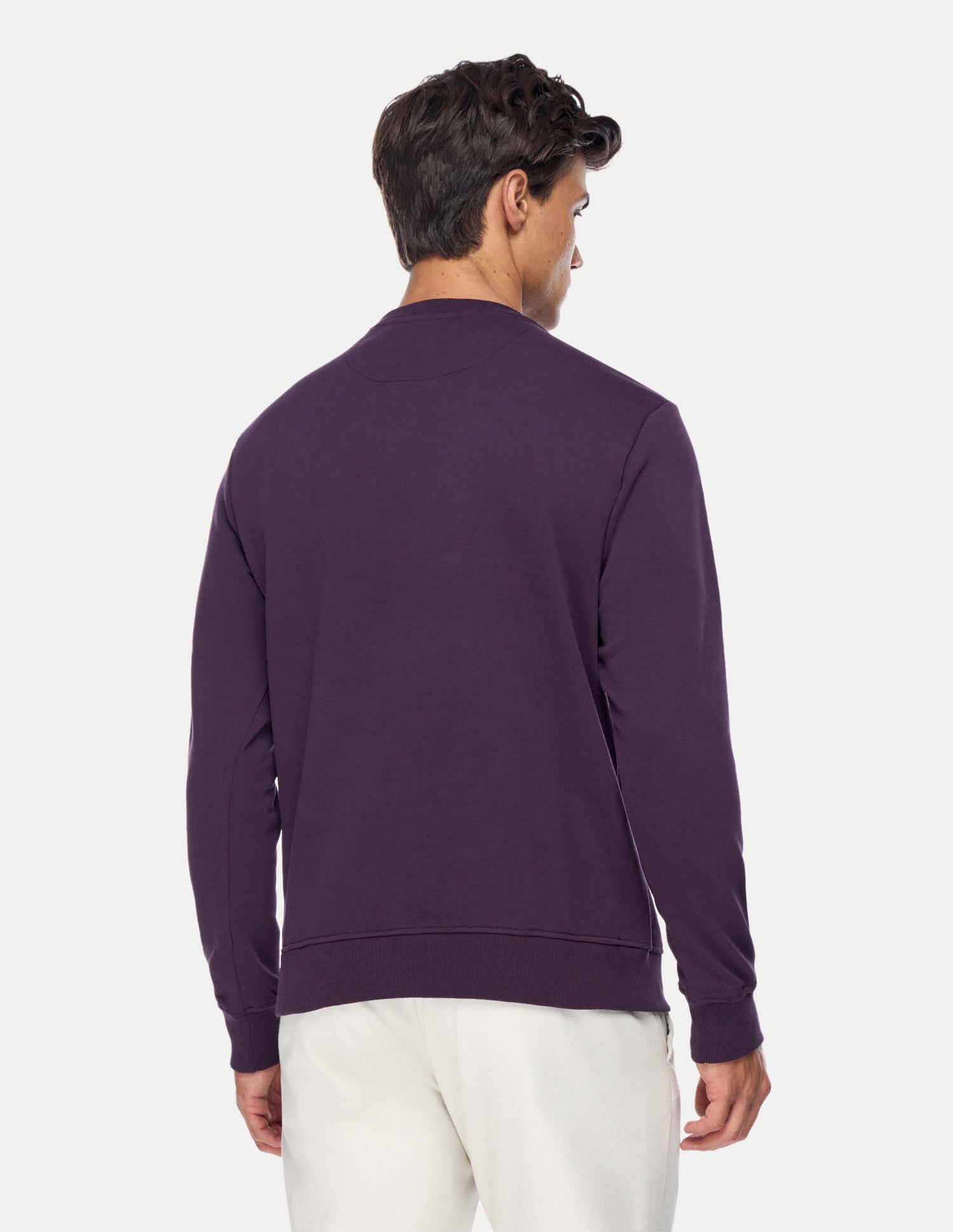 Graphic Brand Printed Regular Fit Sweatshirt Purple - U.S. Polo Assn. India | Large