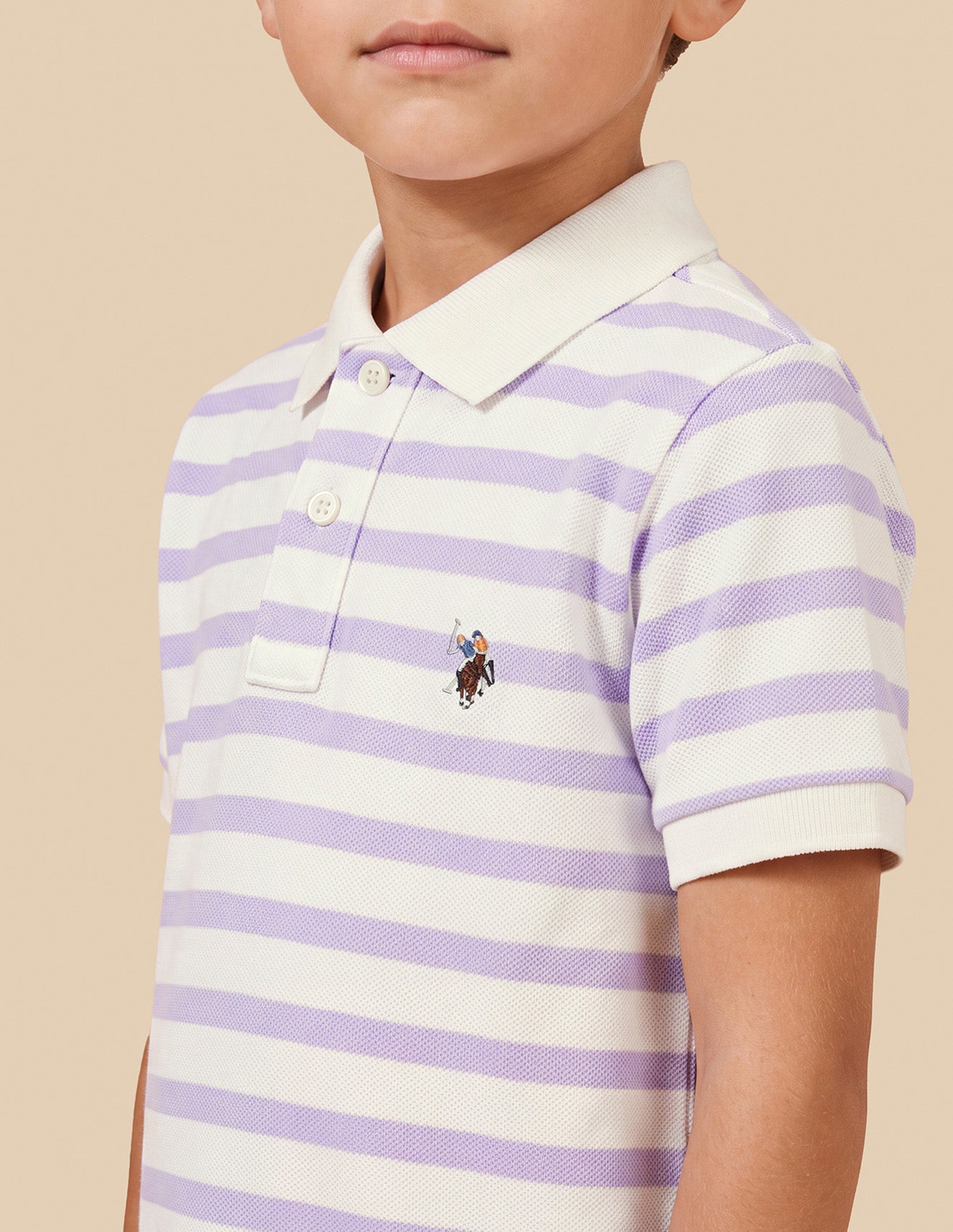 Horizontal Striped Regular Fit Polo Shirt Purple - U.S. Polo Assn. India | Large