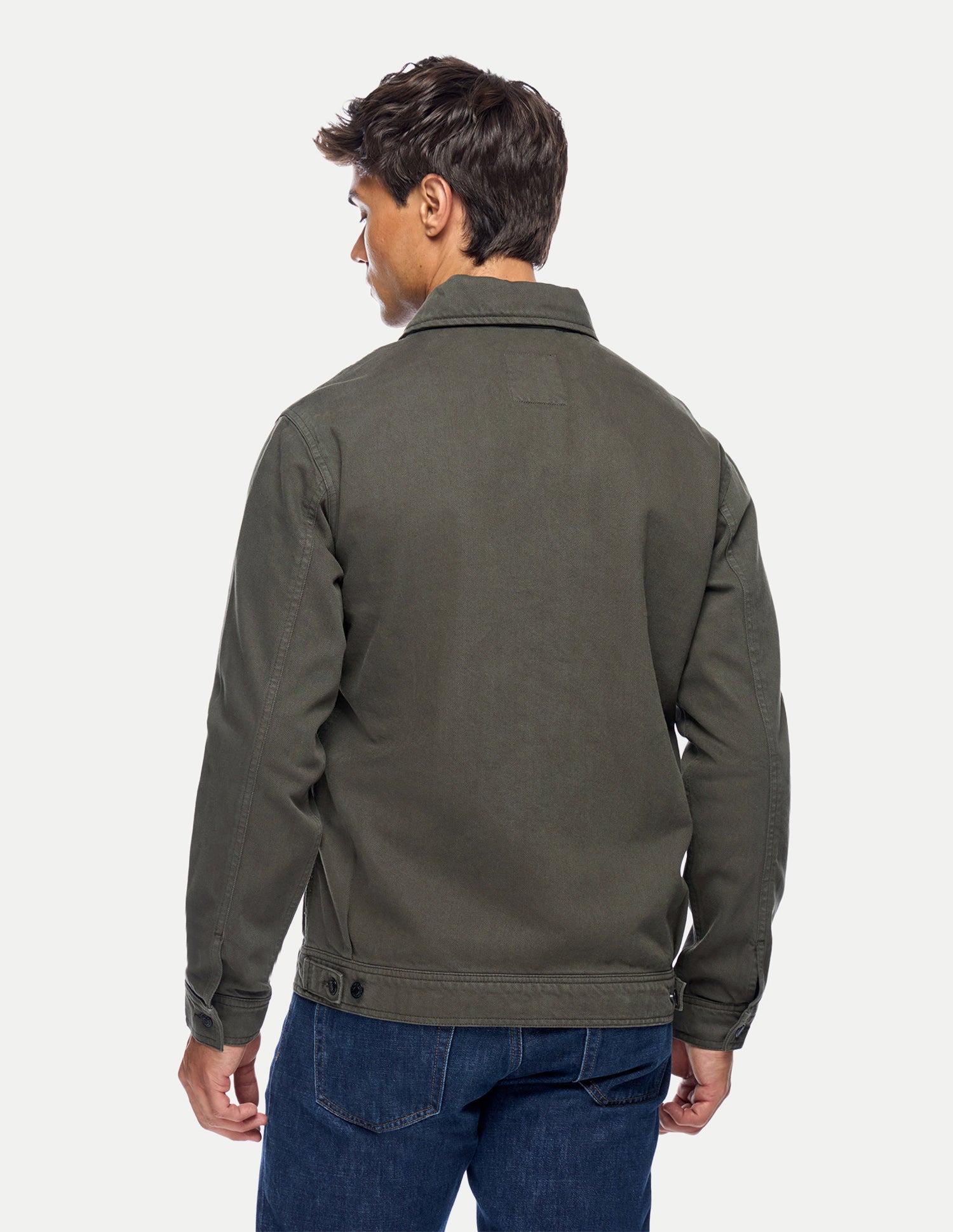Solid Regular Fit Jacket Olive - U.S. Polo Assn. India | Large