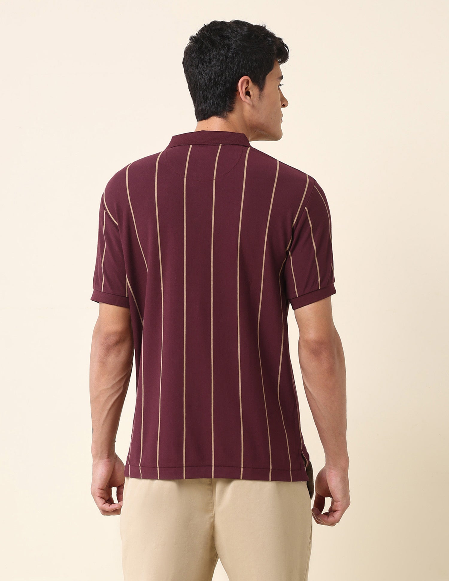 Vertical Striped Classic Polo Shirt Maroon - U.S. Polo Assn. India | Large