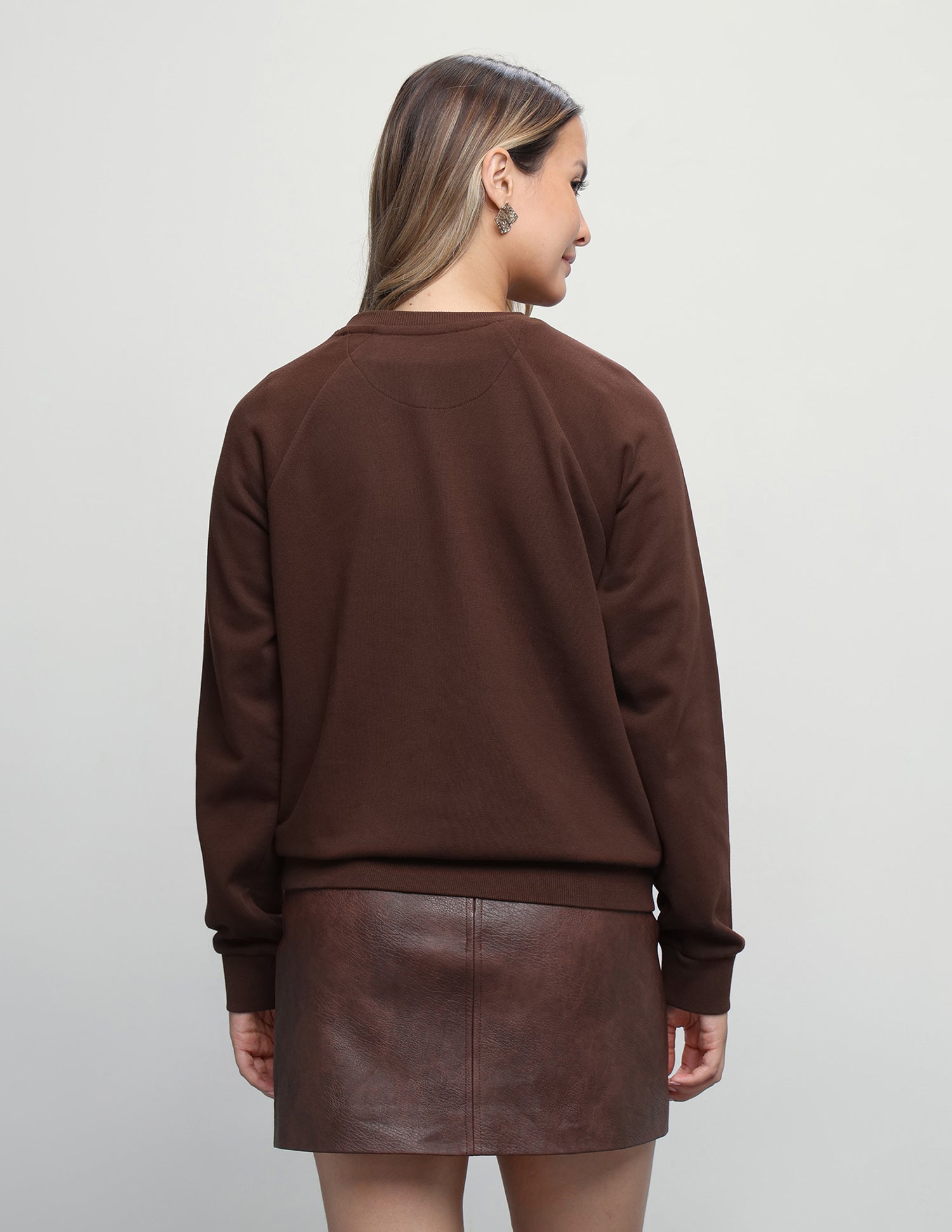 Brand Embroidered Regular Fit Sweatshirt Brown - U.S. Polo Assn. India | Large