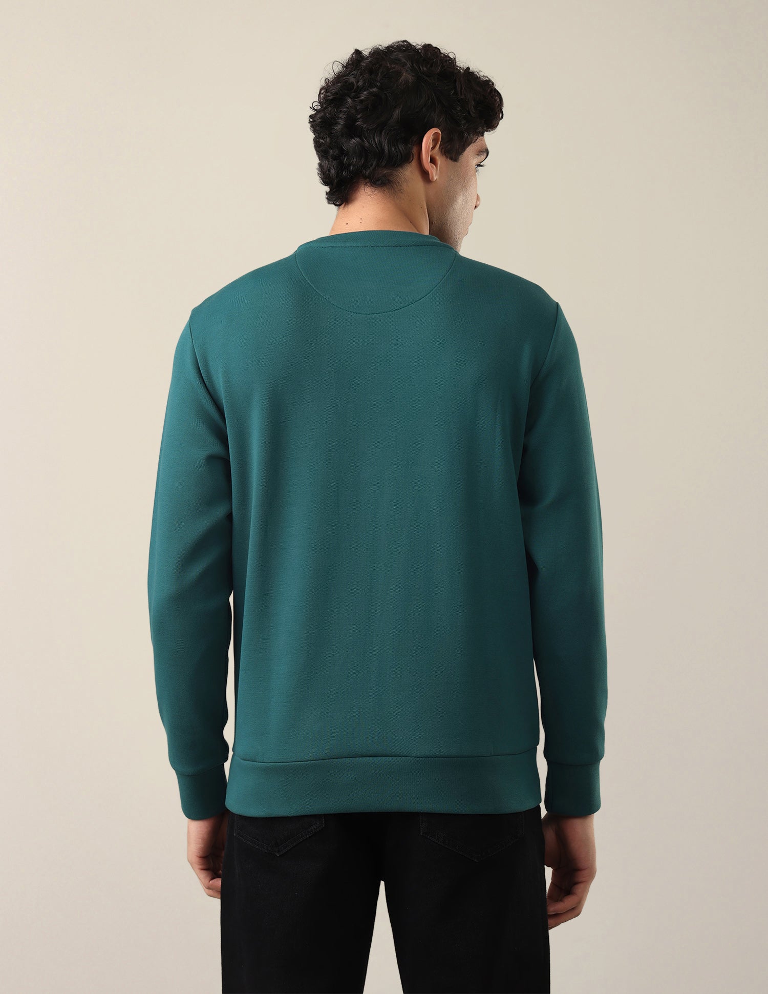 Graphic Brand Applique Regular Fit Sweatshirt Teal - U.S. Polo Assn. India | Large