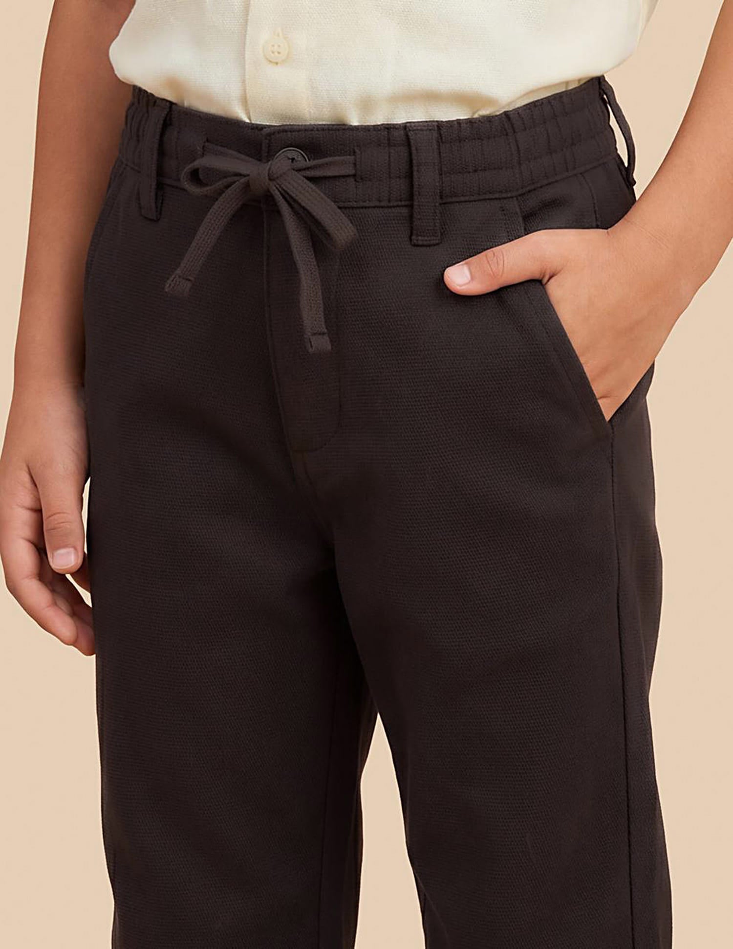 Solid Slim Fit Trousers Brown - U.S. Polo Assn. India | Large