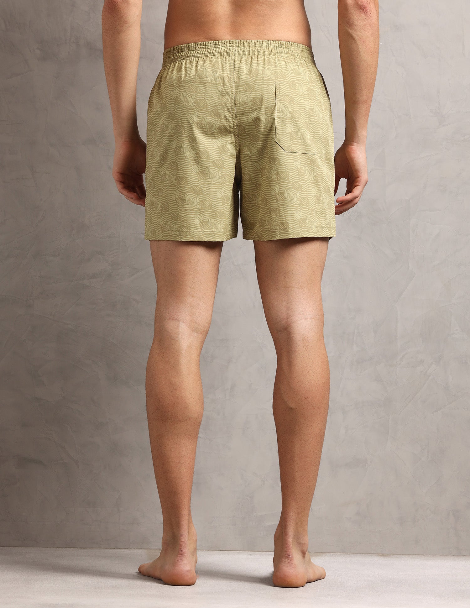 Pure Cotton Printed I657-PR Boxers - Pack Of 1 Paleolive Eagle - U.S. Polo Assn. India | Large