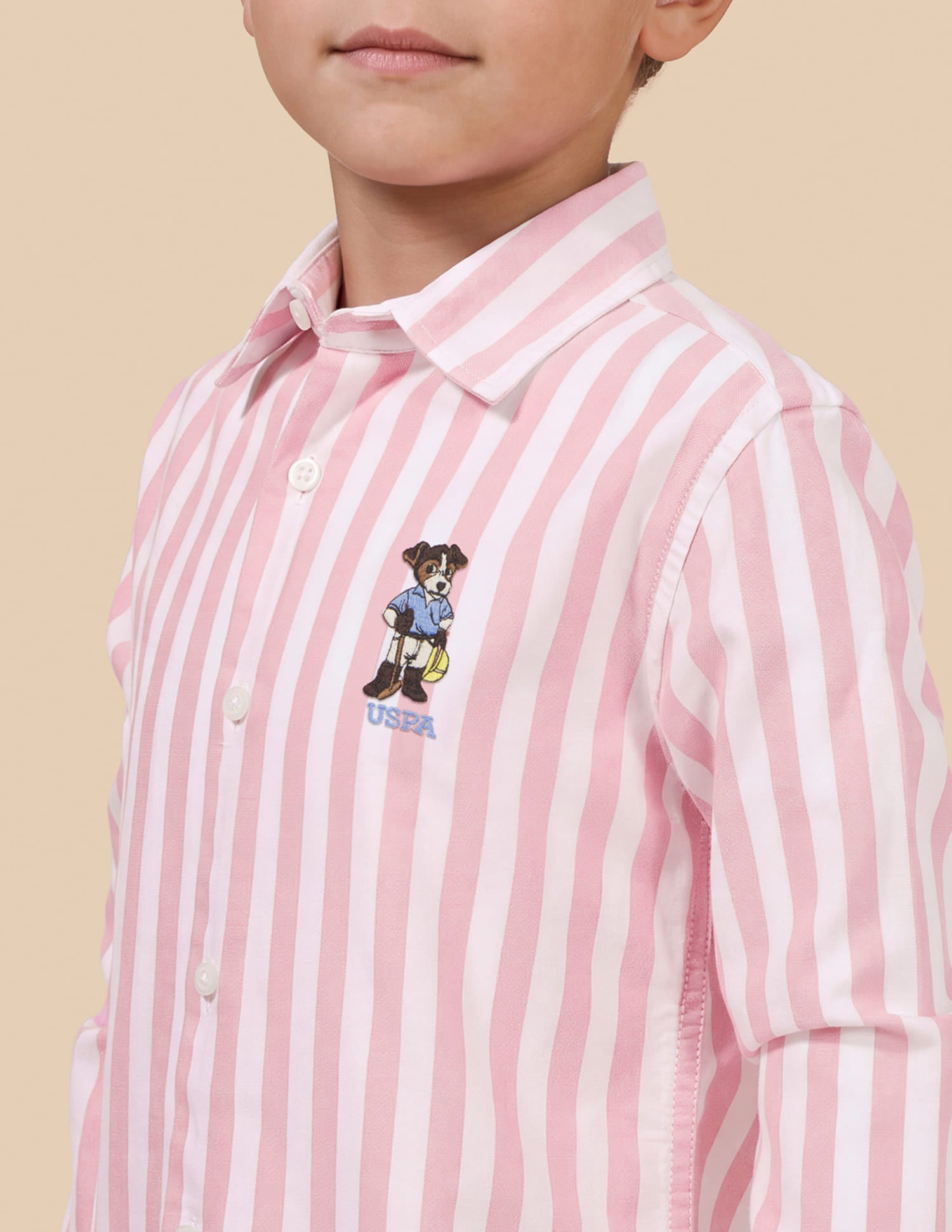 Vertical Striped Oxford Shirt Pink - U.S. Polo Assn. India | Large
