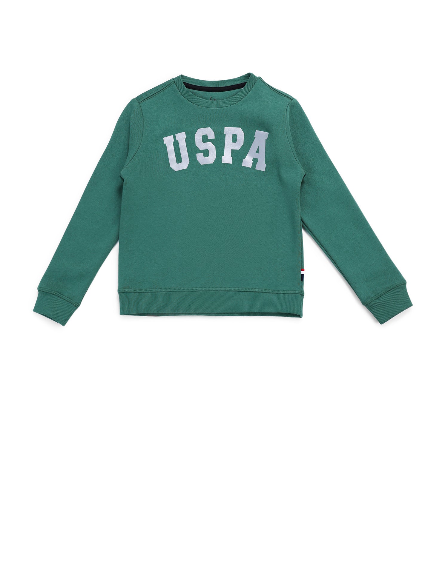 Boys Brand Printed Regular Fit Sweatshirt Green - U.S. POLO ASSN. | Large