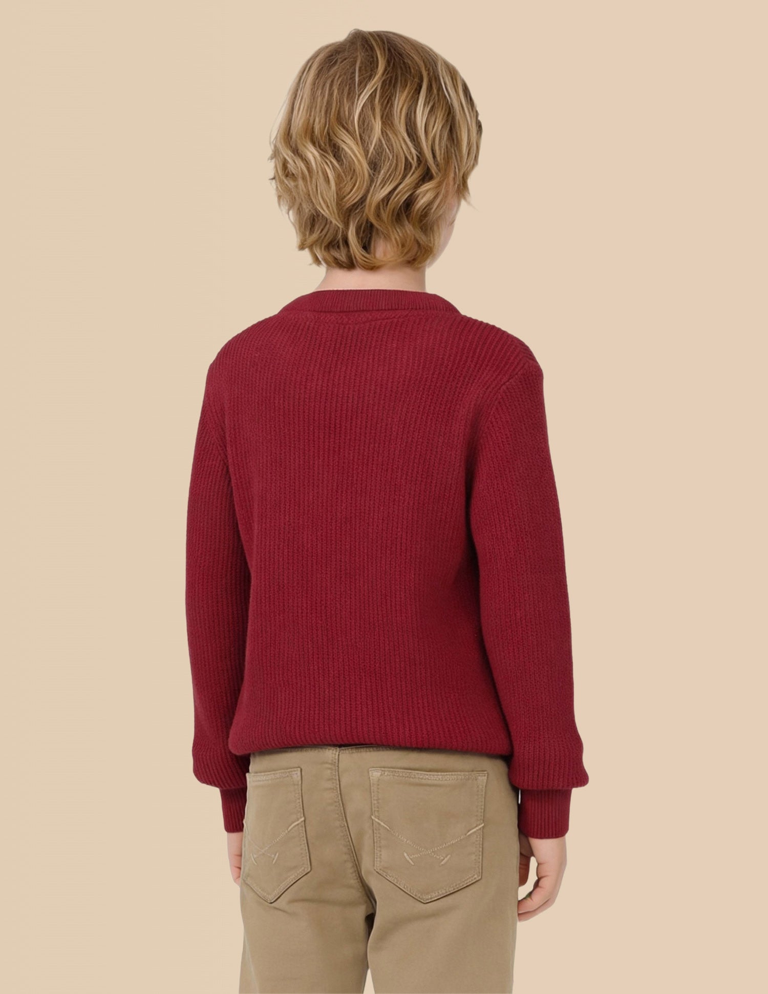 Boys Brand Embroidered Regular Fit Sweater Dark Red - U.S. Polo Assn. India | Large