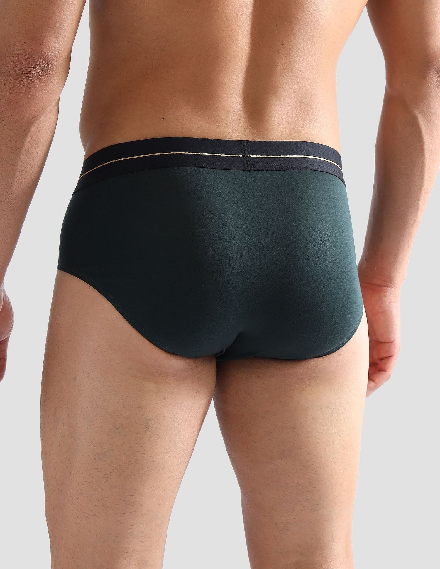 Elasticized Waist Solid PB004 Briefs - Pack of 1 Scarab - U.S. POLO ASSN. | Large