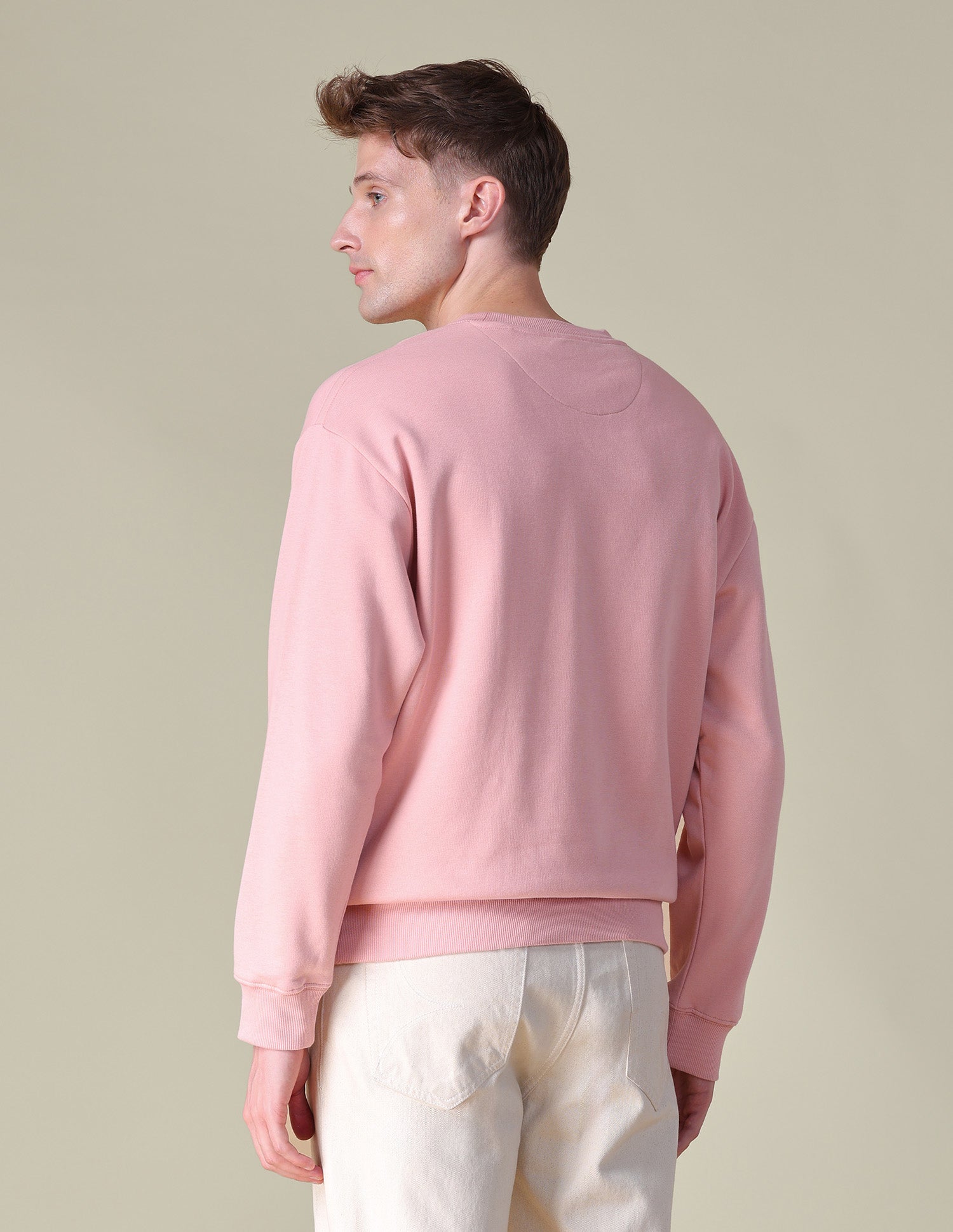 Solid Relaxed Fit Sweatshirt Pink - U.S. POLO ASSN. | Large