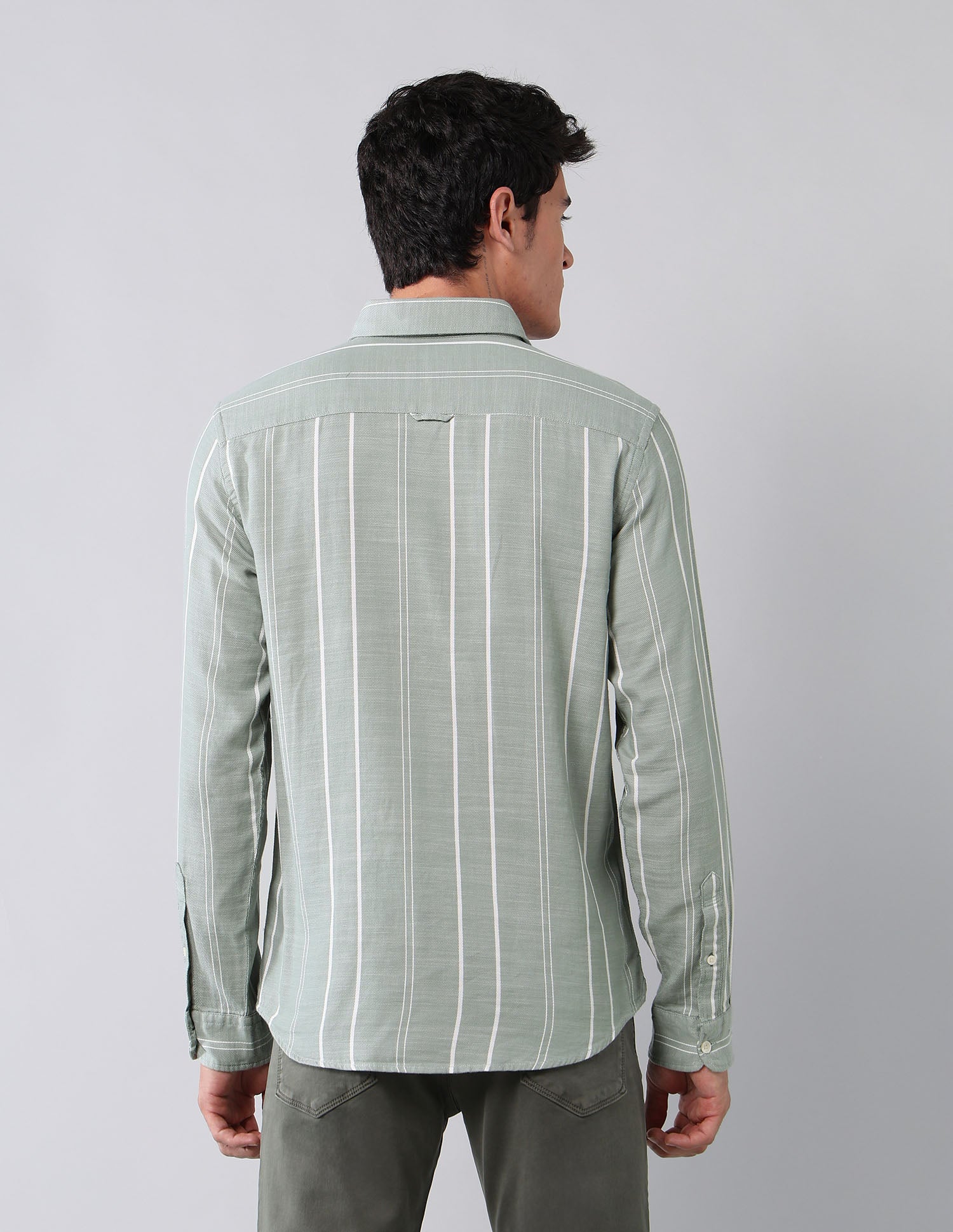 Vertical Striped Pure Cotton Shirt Light Green - U.S. Polo Assn. India | Large