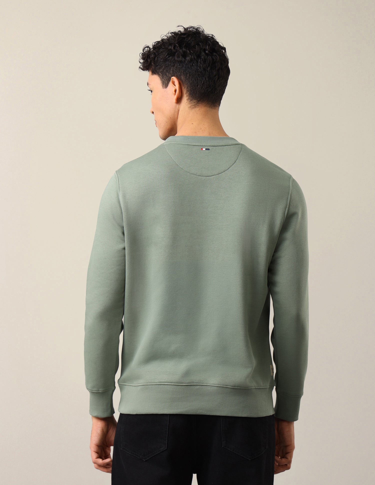 Brand Embroidered Regular Fit Sweatshirt Green - U.S. Polo Assn. India | Large