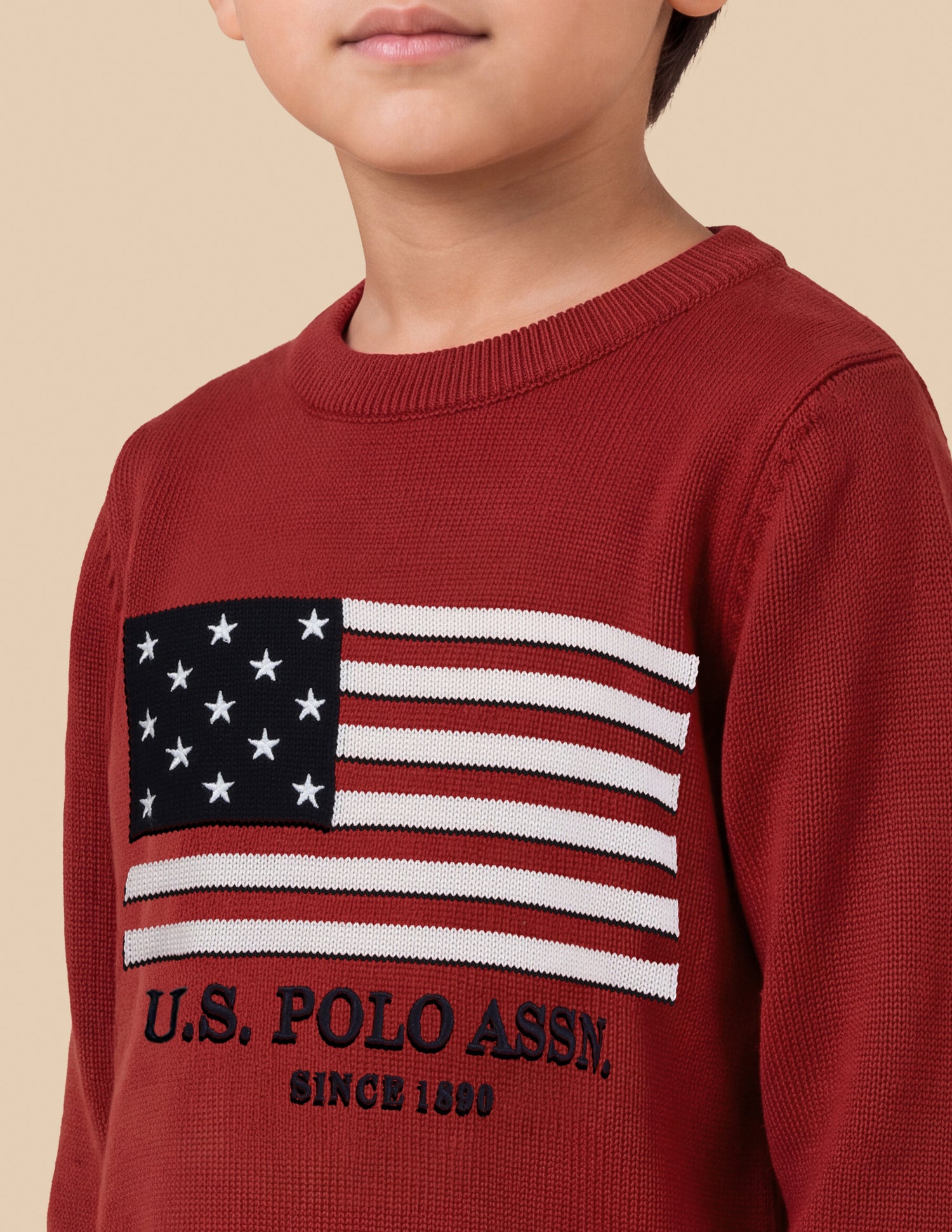 Graphic Brand Patterned Knit Regular Fit Sweater Red - U.S. Polo Assn. India | Large