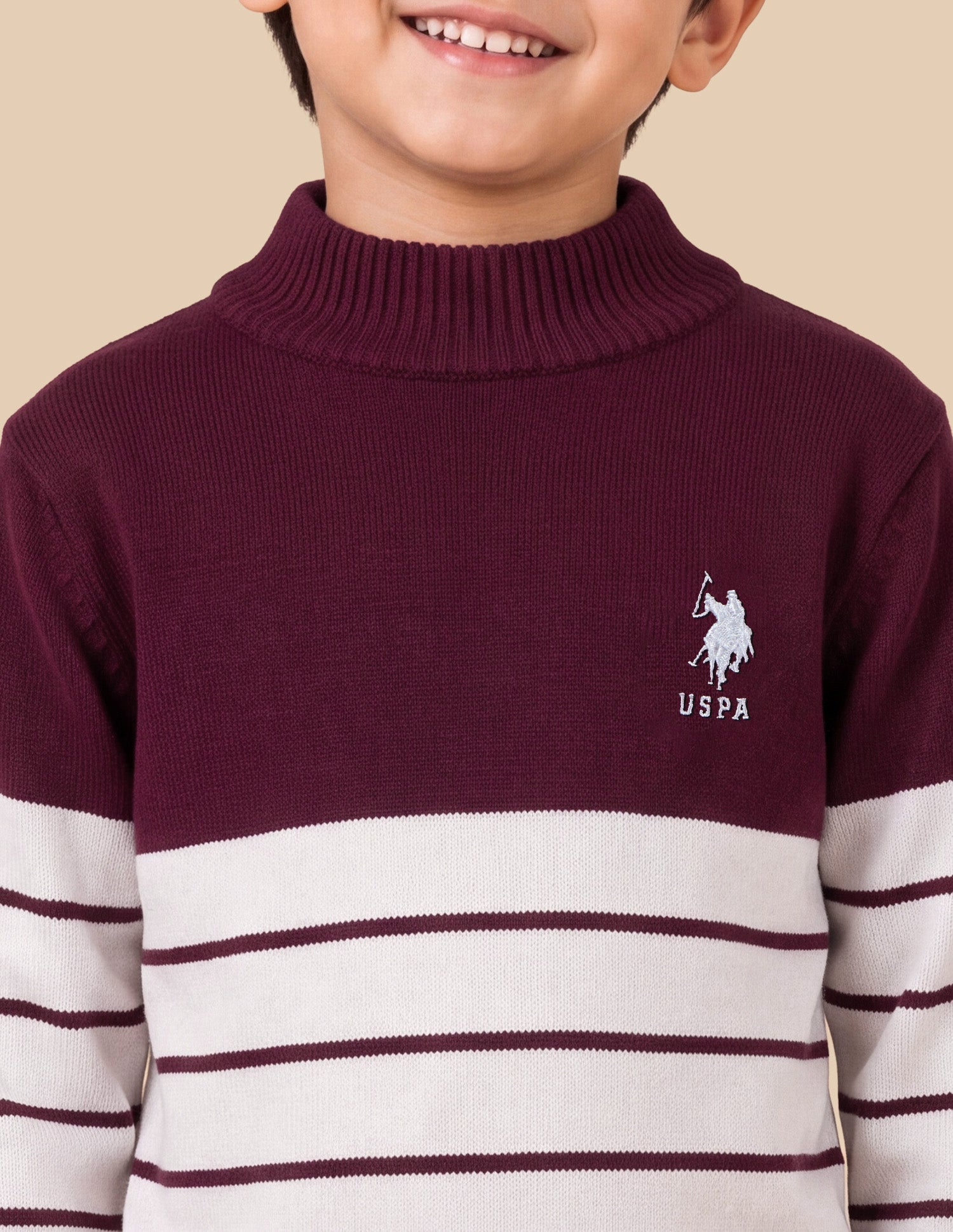 Horizontal Striped Colourblocked Regular Fit Sweater Maroon - U.S. Polo Assn. India | Large