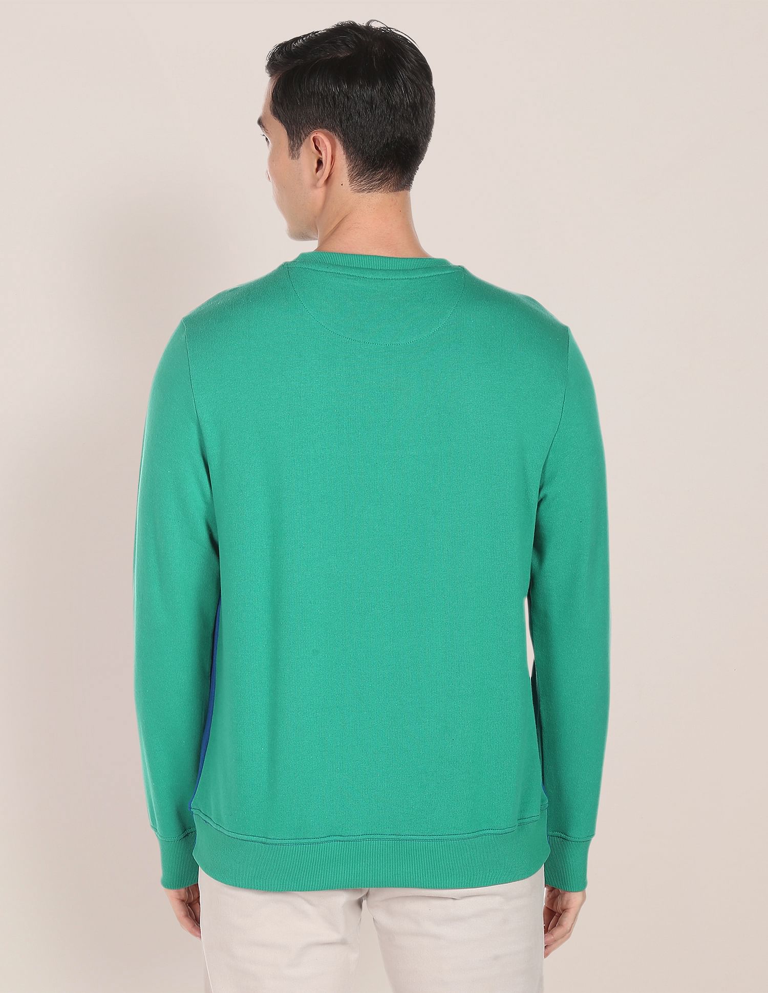 Crew Neck Colour Block Sweatshirt Green - U.S. POLO ASSN. | Large