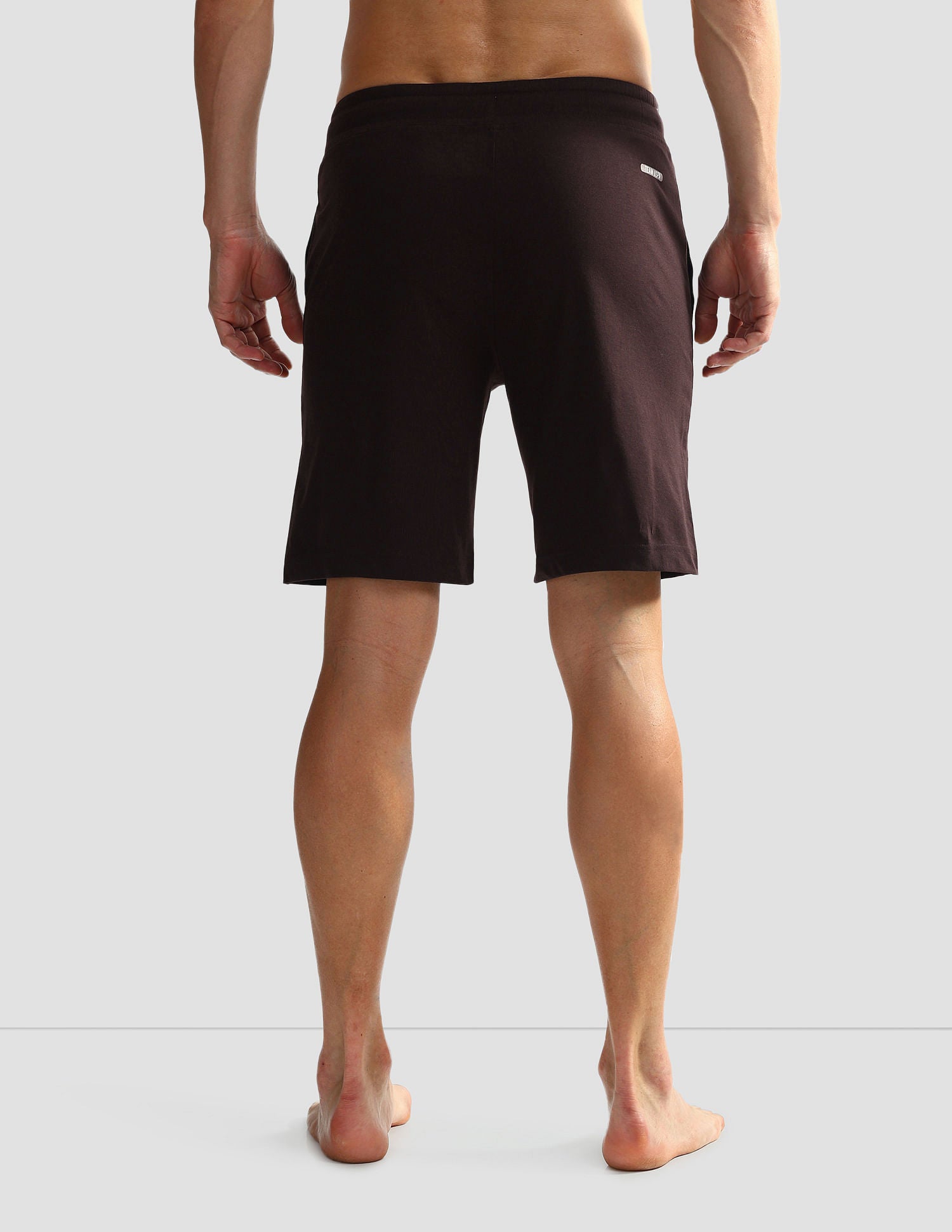 Solid Logo IYAQ Knit Shorts - Pack Of 1 Fudge - U.S. POLO ASSN. | Large