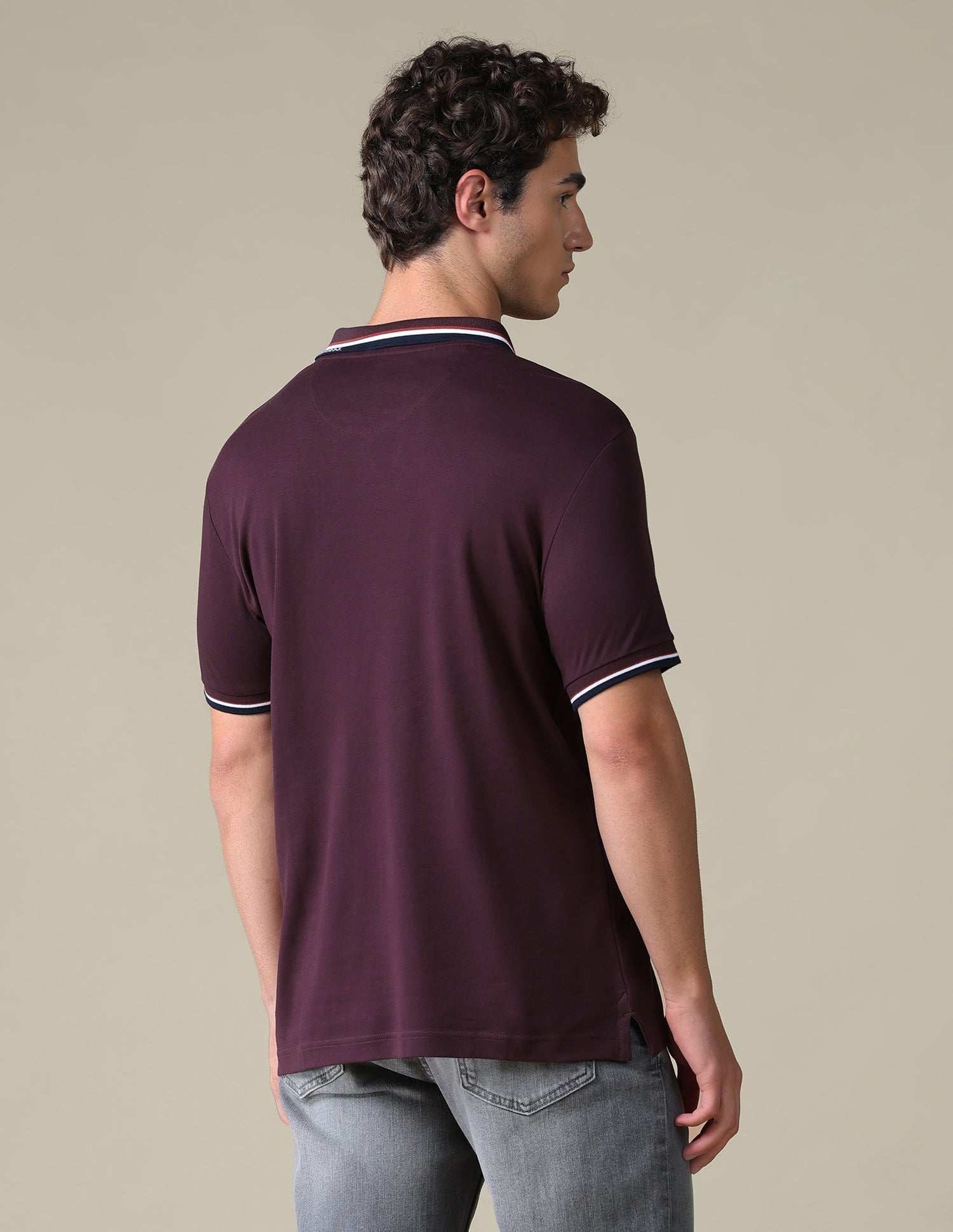 Regular Fit Solid Polo Shirt Purple - U.S. Polo Assn. India | Large