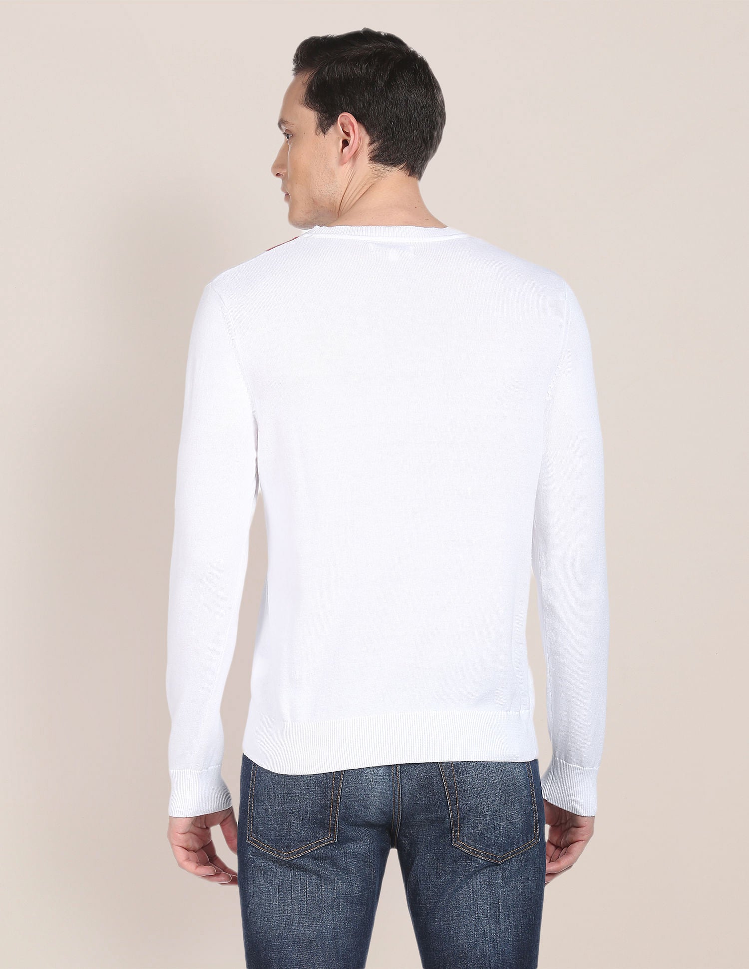 Crew Neck Patterned Knit Sweater White - U.S. Polo Assn. India | Large