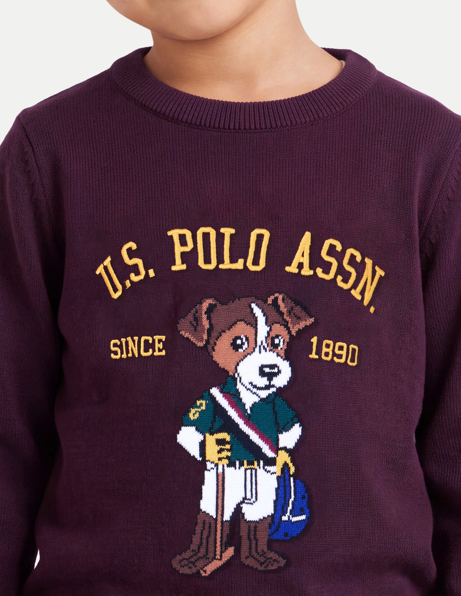 Brand Graphic Embroidered Regular Fit Sweater Wine - U.S. Polo Assn. India | Large