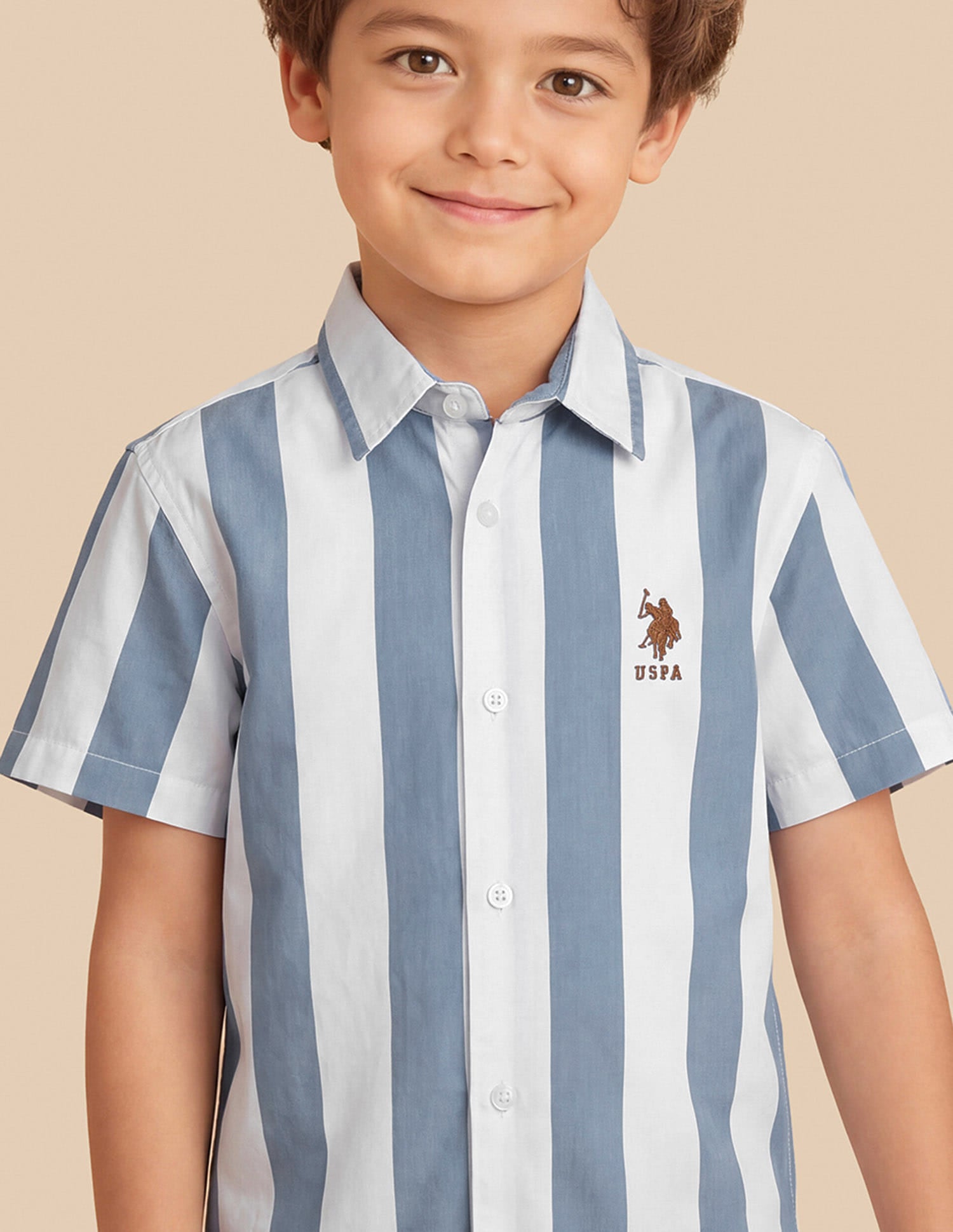 Vertical Striped Regular Fit Shirt Light Blue - U.S. Polo Assn. India | Large