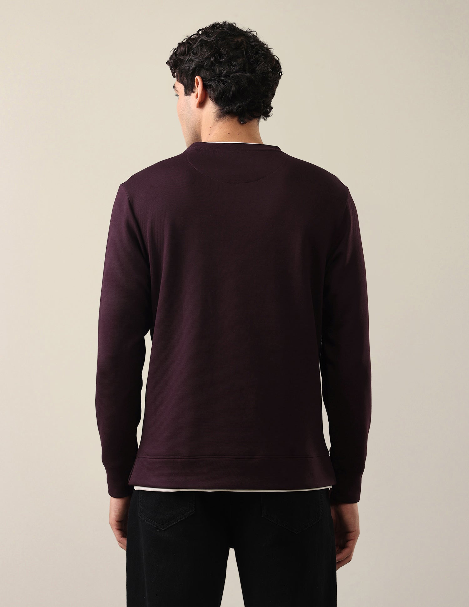 Solid Regular Fit Sweatshirt Maroon - U.S. Polo Assn. India | Large