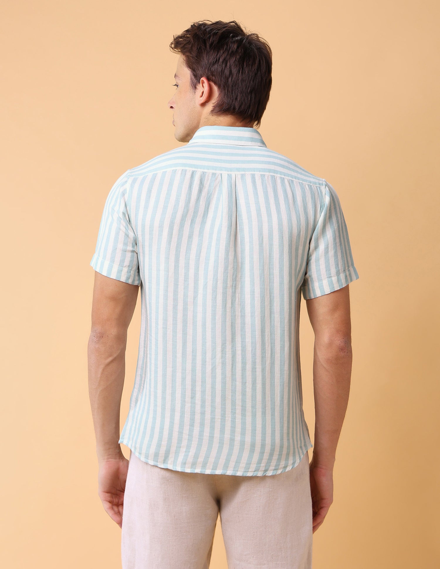 Vertical Striped Regular Fit Shirt Light Green - U.S. Polo Assn. India | Large