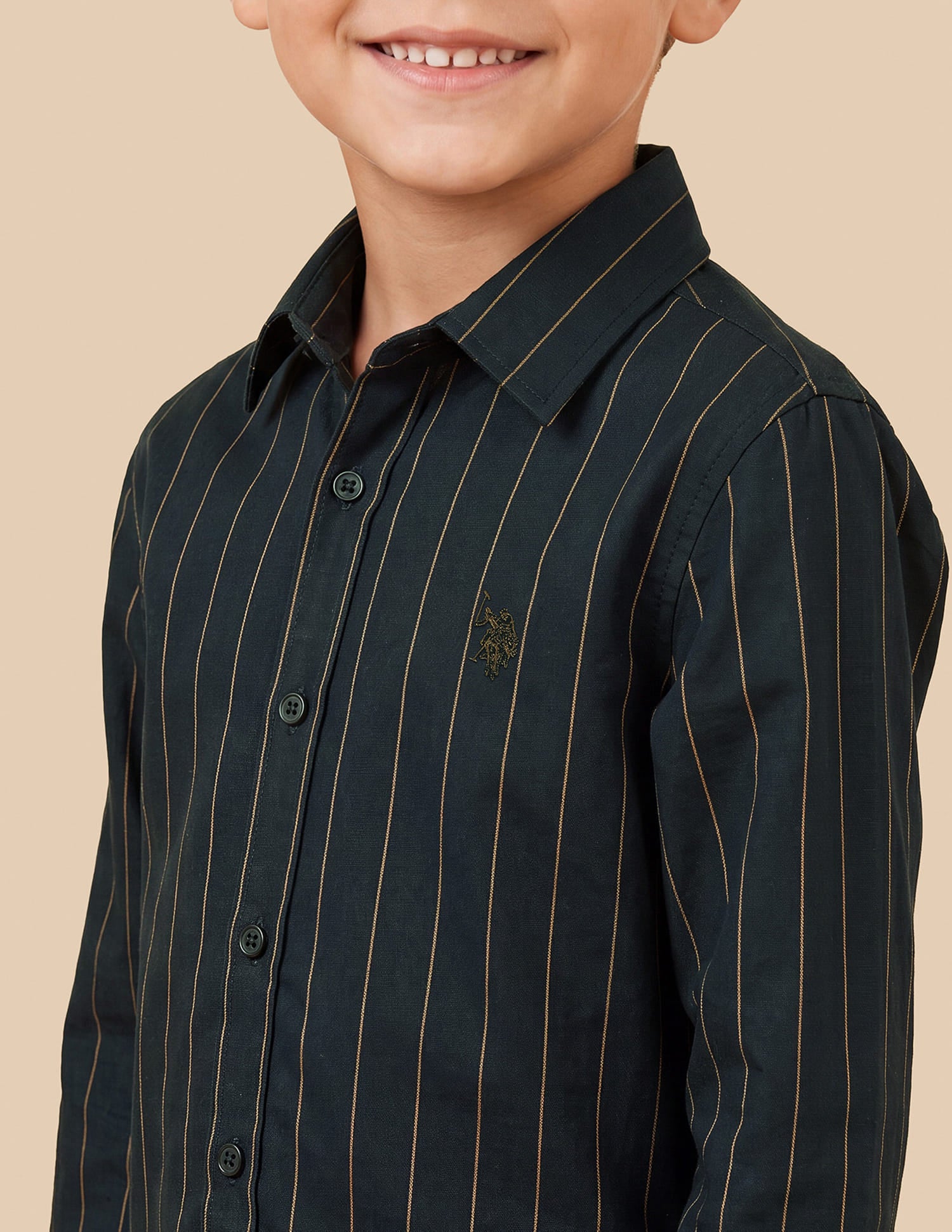 Vertical Striped Regular Fit Shirt Green - U.S. Polo Assn. India | Large