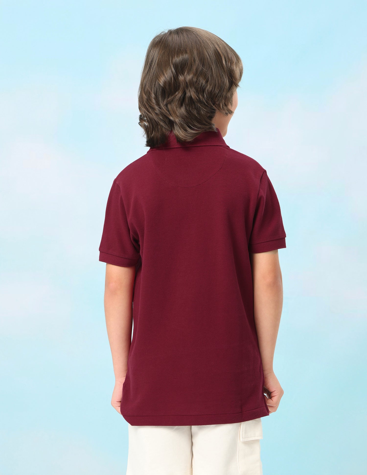 Solid Regular Fit Polo Shirt Maroon - U.S. Polo Assn. India | Large