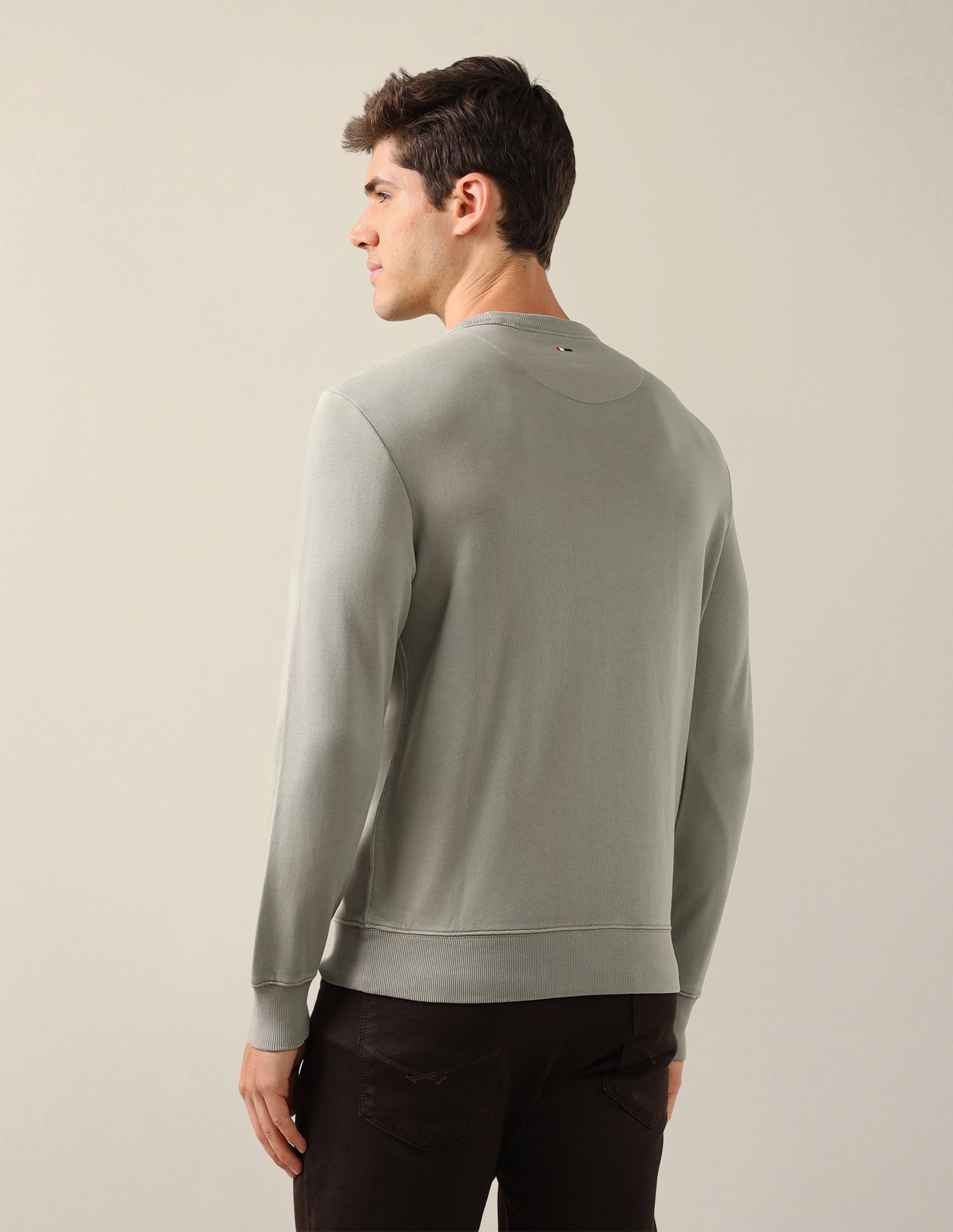 Solid Regular Fit Sweatshirt Olive - U.S. Polo Assn. India | Large