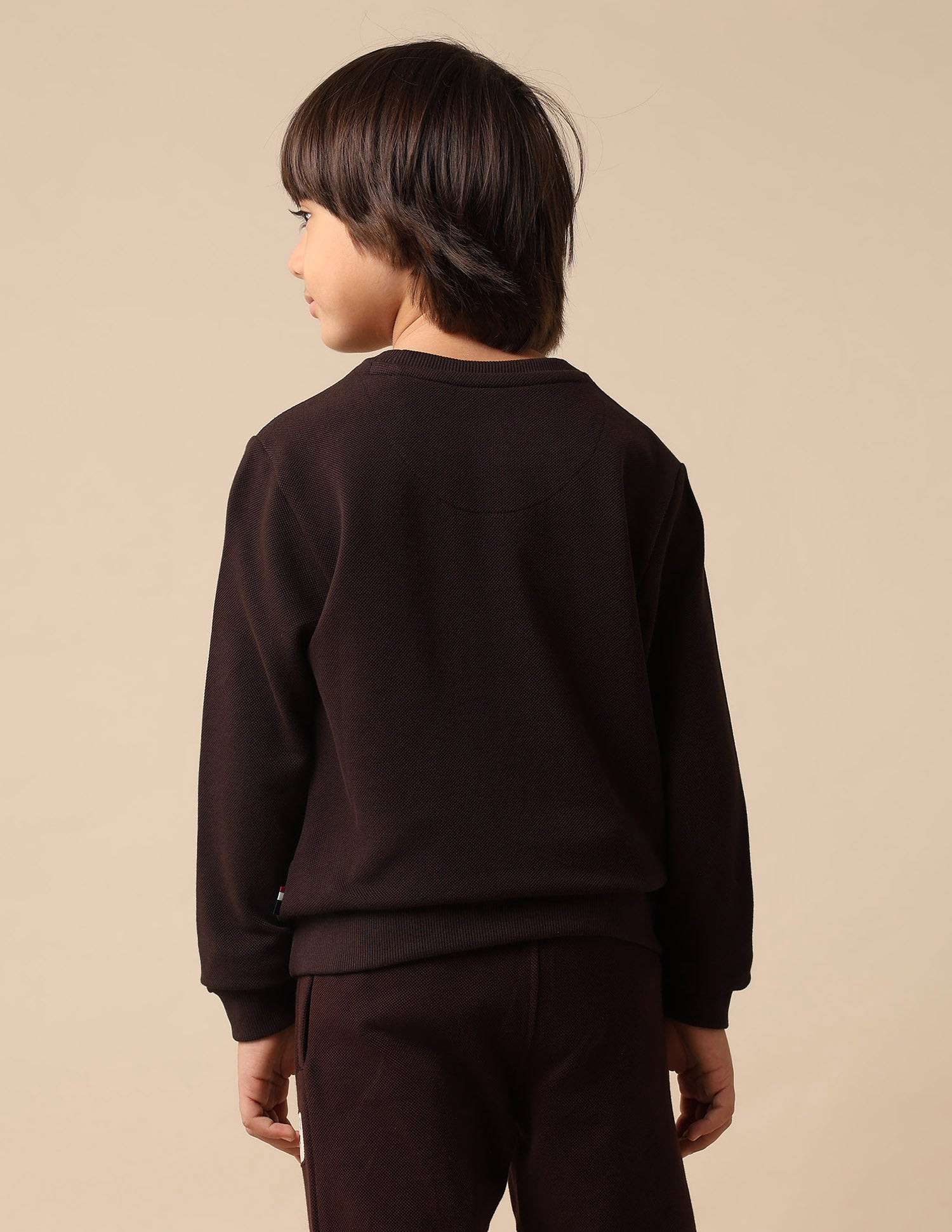Boys Solid Regular Fit Sweatshirt Dark Brown - U.S. Polo Assn. India | Large