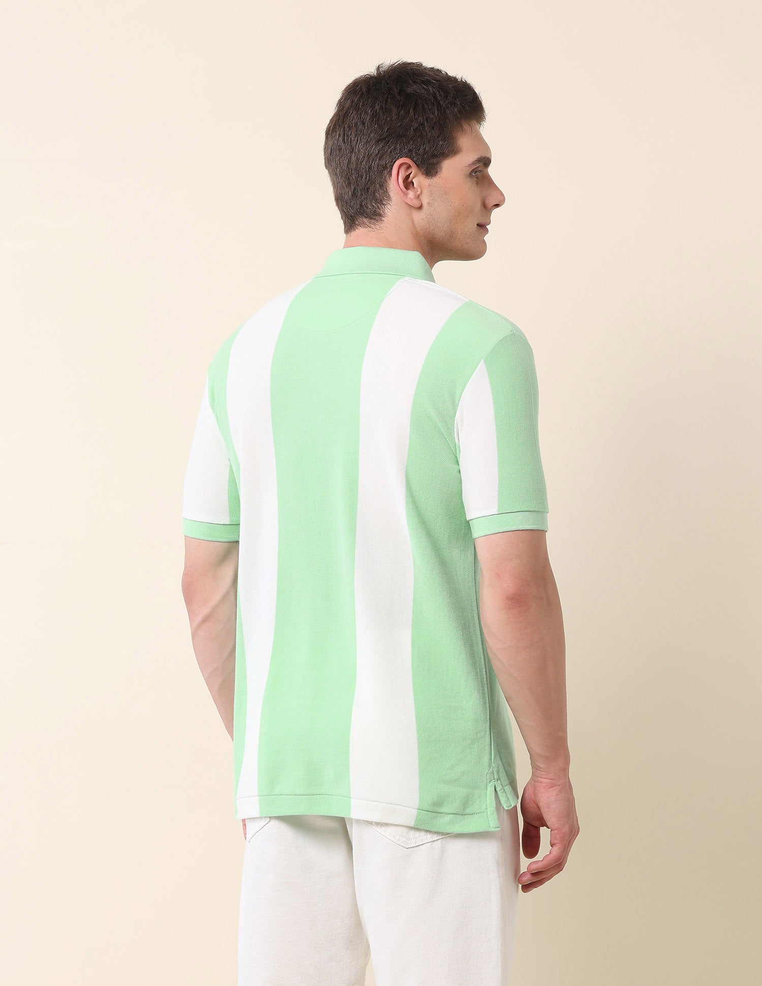 Vertical Striped Summer Splash Polo Shirt Green - U.S. Polo Assn. India | Large
