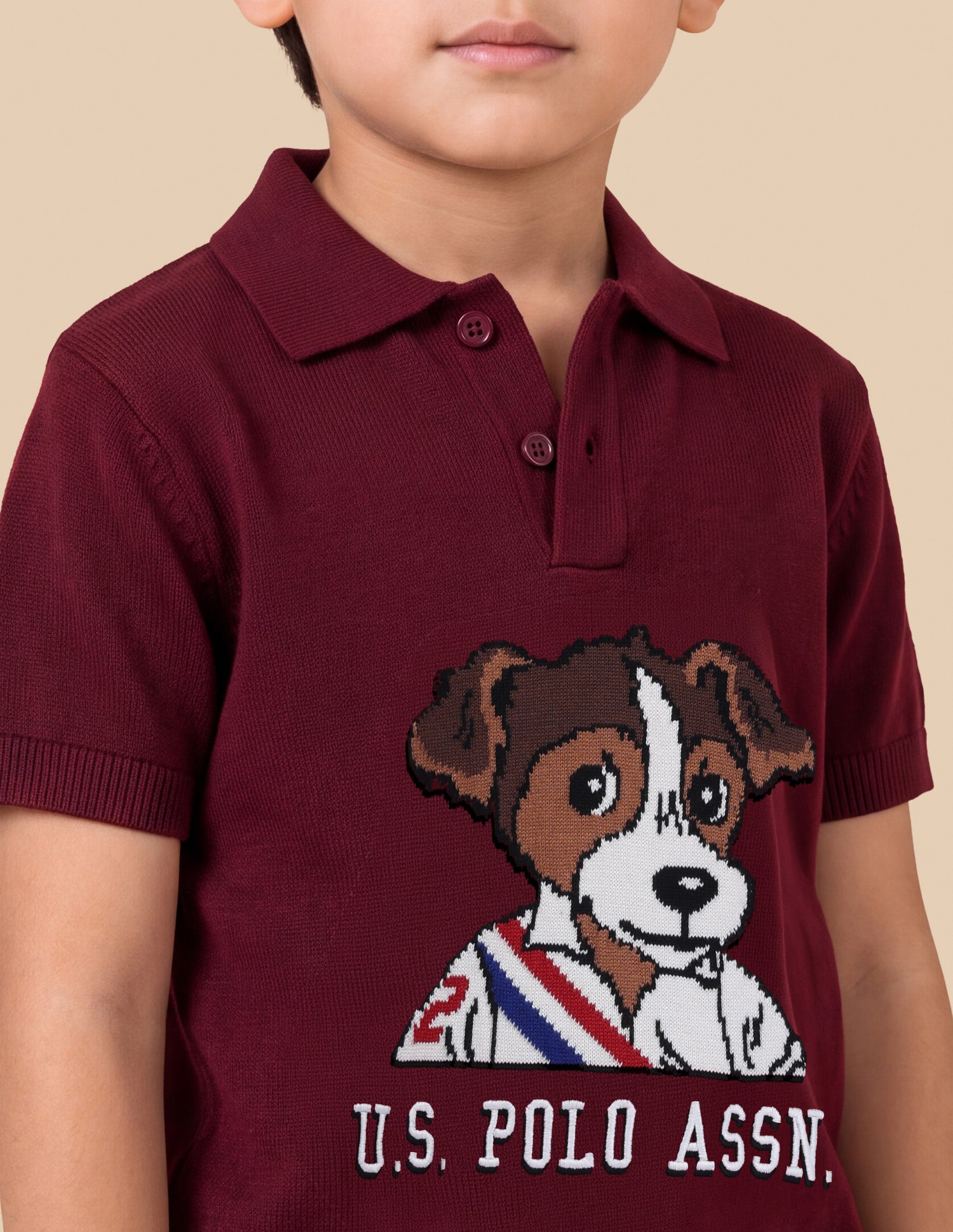 Graphic Brand Printed Regular Fit Polo Shirt Maroon - U.S. Polo Assn. India | Large