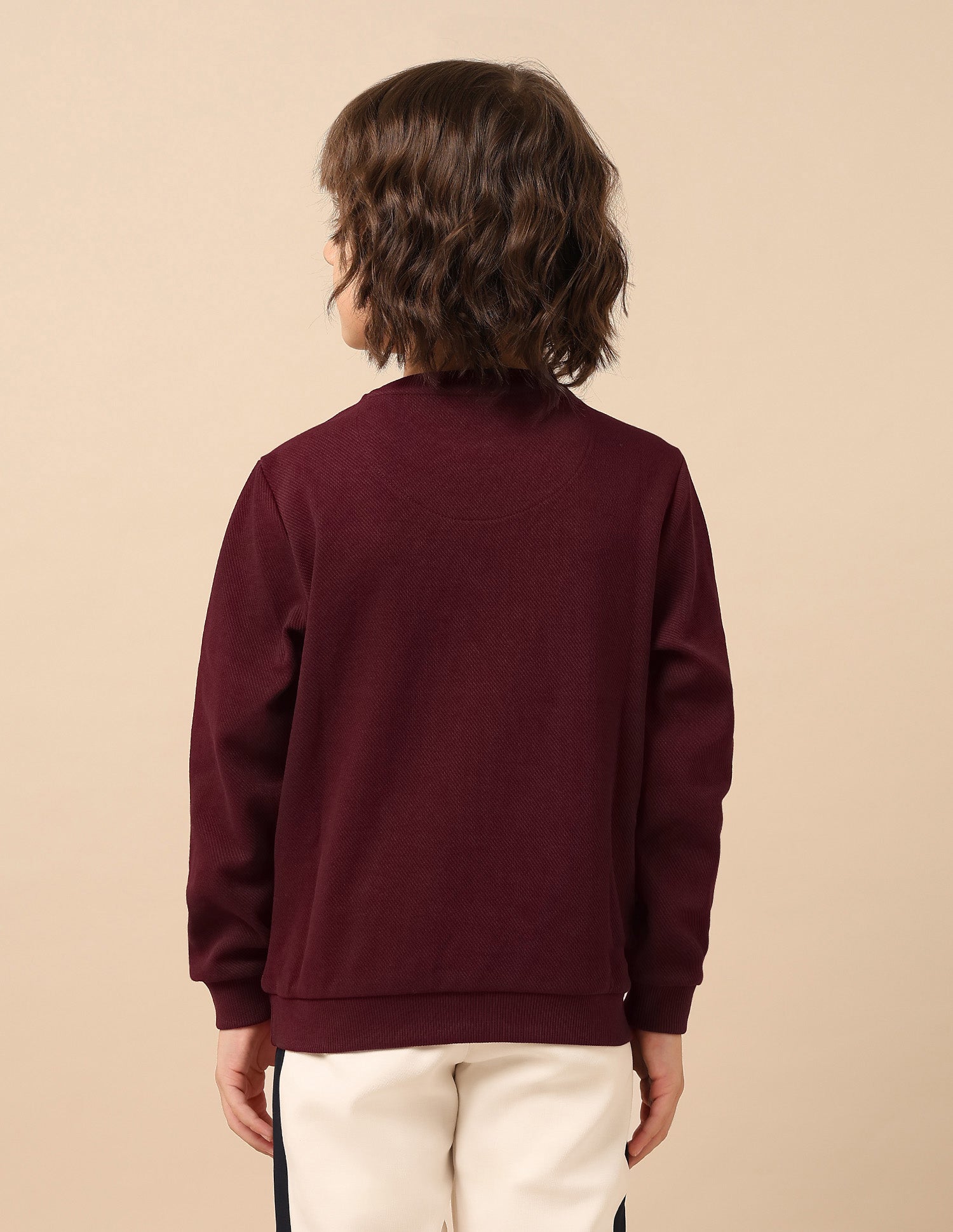 Boys Brand Embroidered Mini Me Sweatshirt Dark Red - U.S. POLO ASSN. | Large