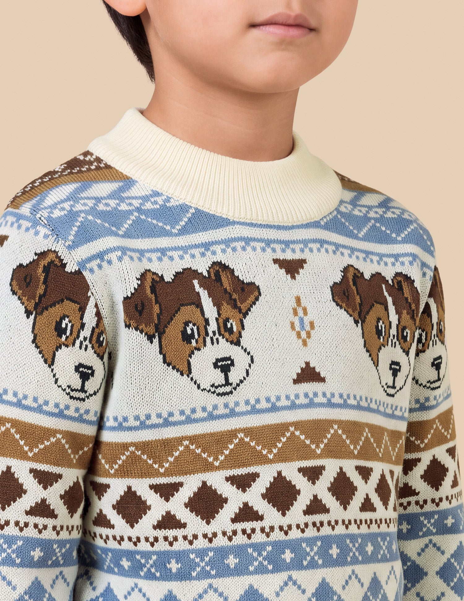 Geometric Patterned Knit Regular Fit Sweater Off White - U.S. Polo Assn. India | Large