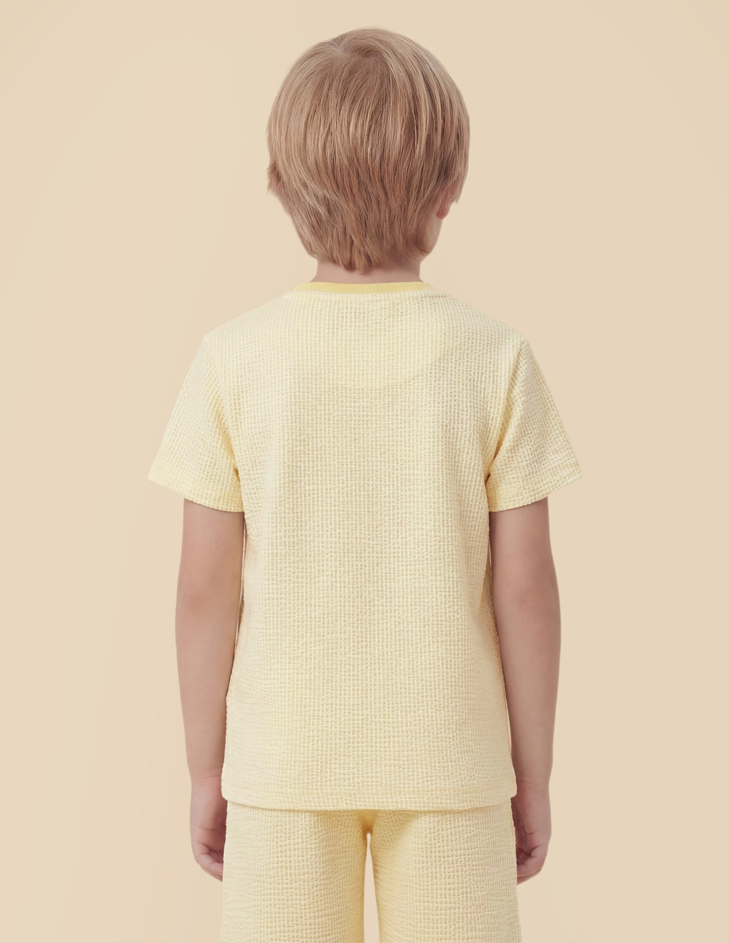 Boys Textured Regular Fit T-Shirt Light Yellow - U.S. Polo Assn. India | Large