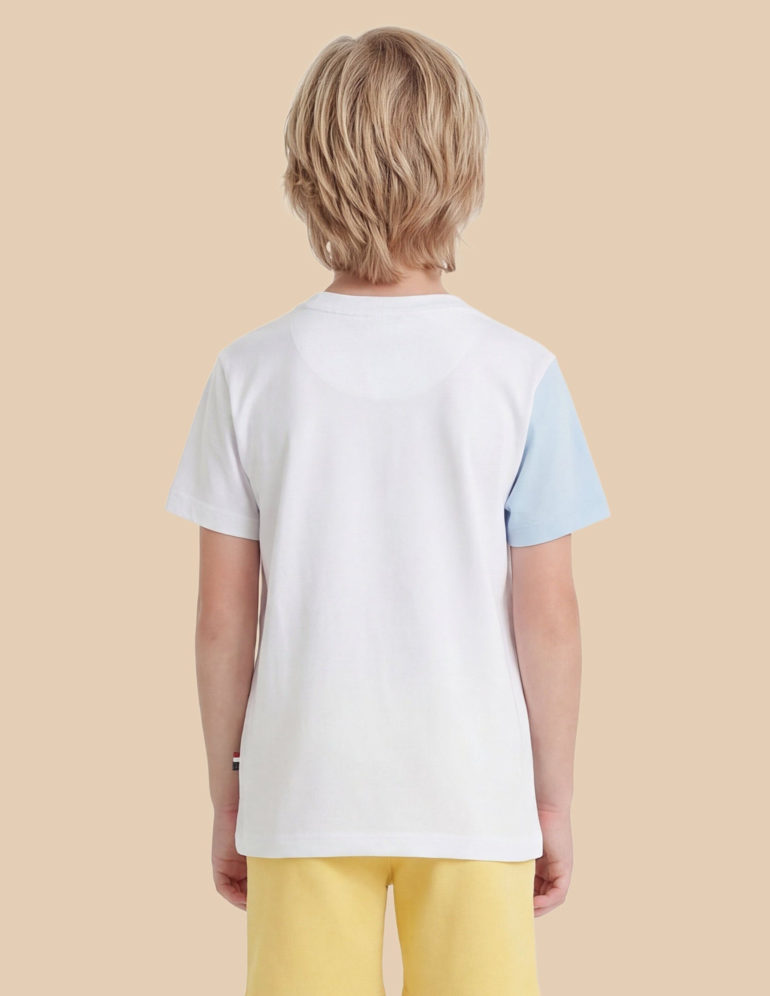 Colour Blocked Regular Fit T-Shirt Yellow - U.S. Polo Assn. India | Large