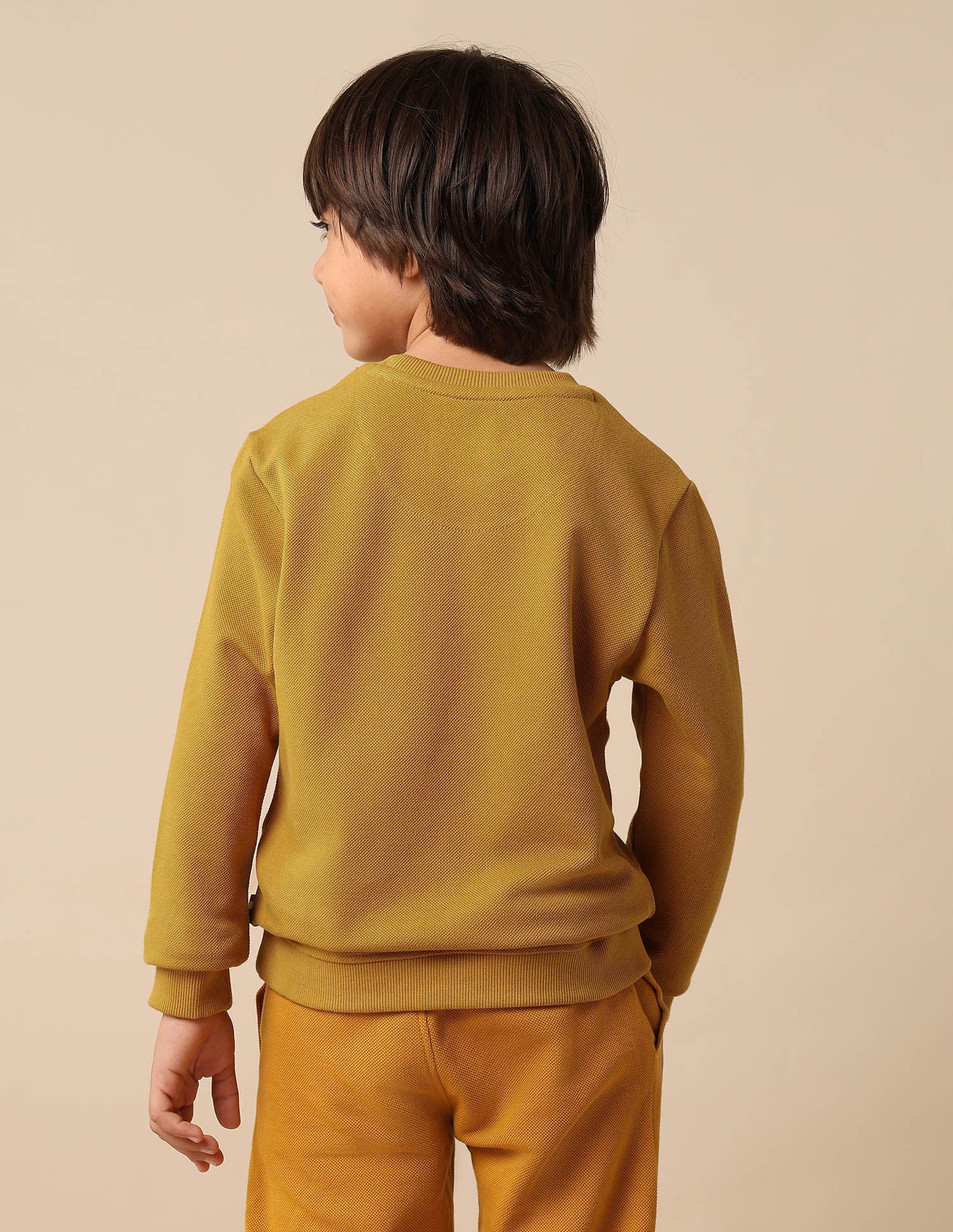 Boys Solid Regular Fit Sweatshirt Yellow - U.S. POLO ASSN. | Large