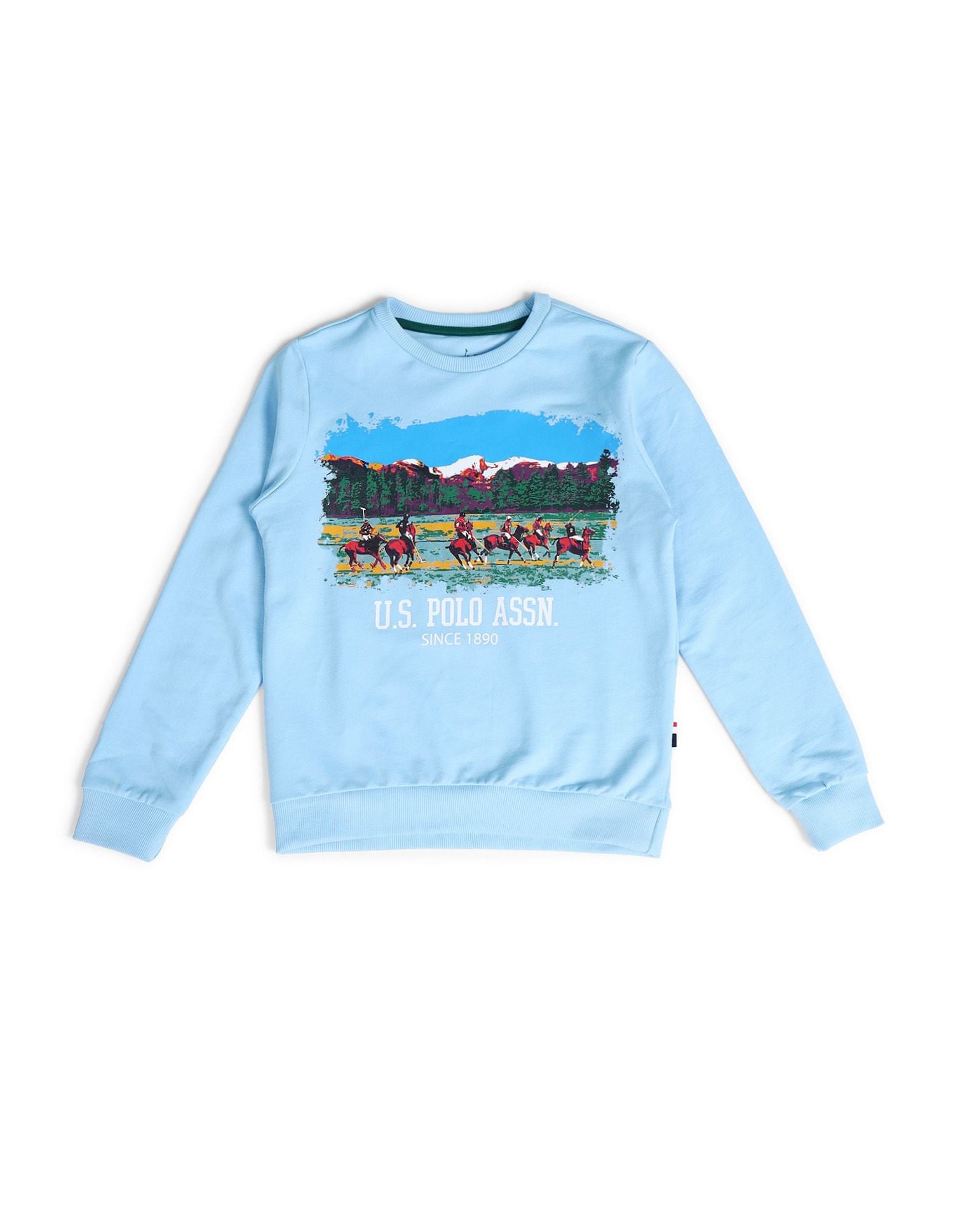 Boys Printed Regular Fit Sweatshirt Light Blue - U.S. Polo Assn. India | Large