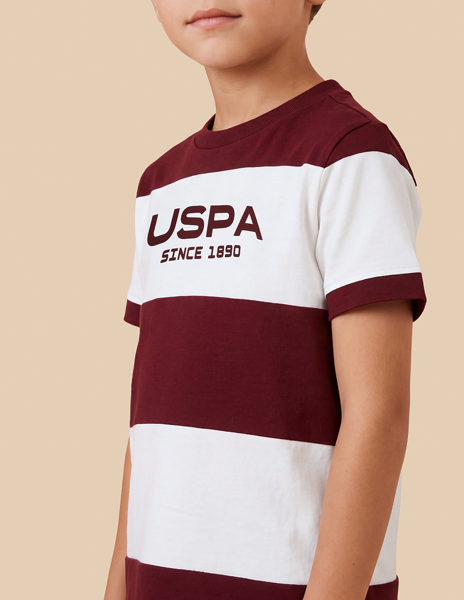 Horizontal Striped Regular Fit T-Shirt Red - U.S. Polo Assn. India | Large