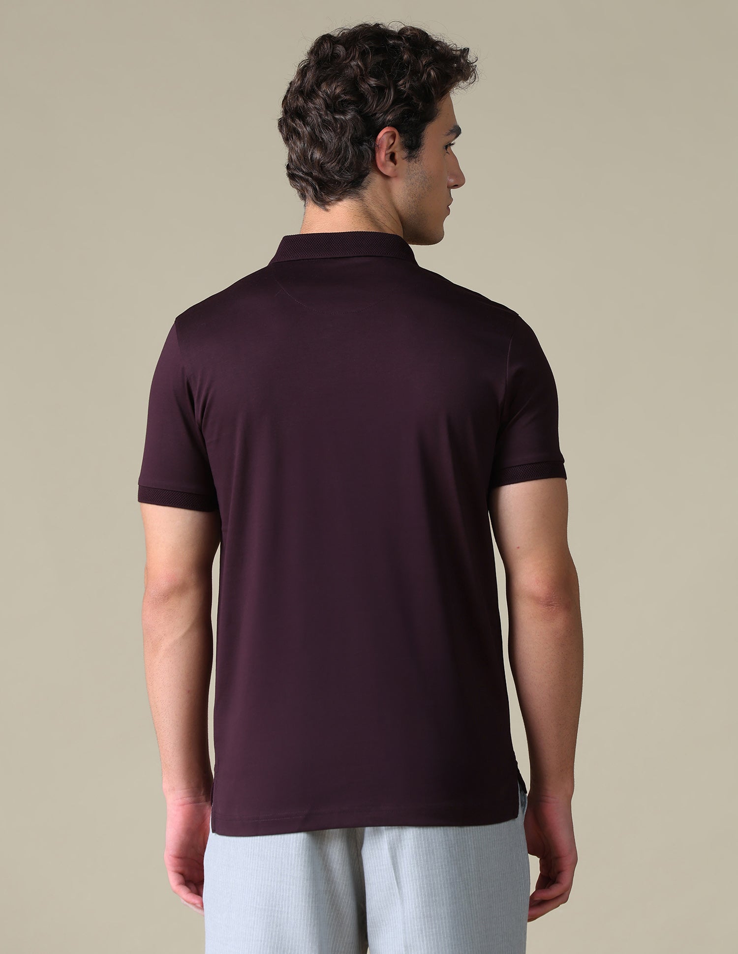 Regular Fit Solid Polo Shirt Purple - U.S. Polo Assn. India | Large