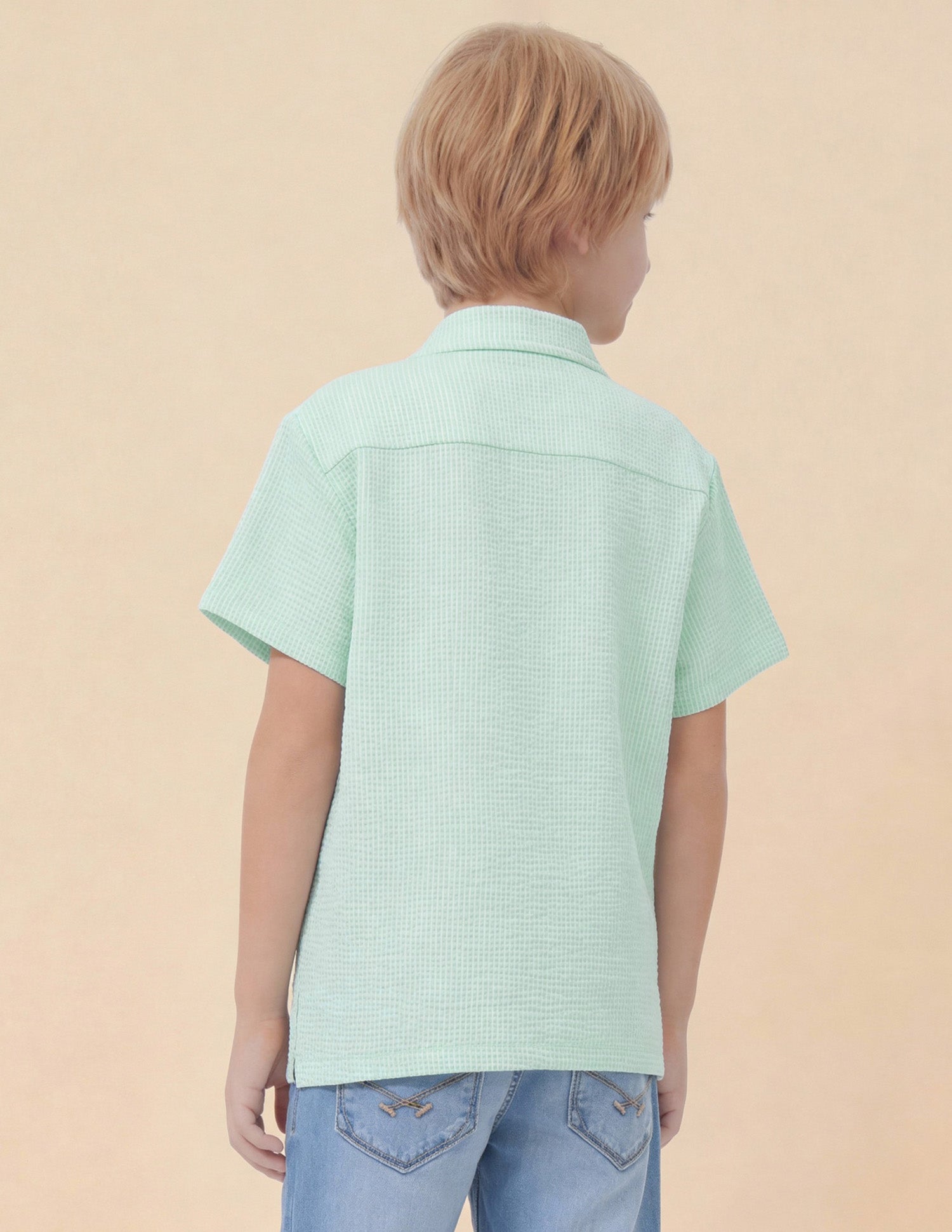 Boys Vertical Striped Seersucker Shirt Light Green - U.S. Polo Assn. India | Large