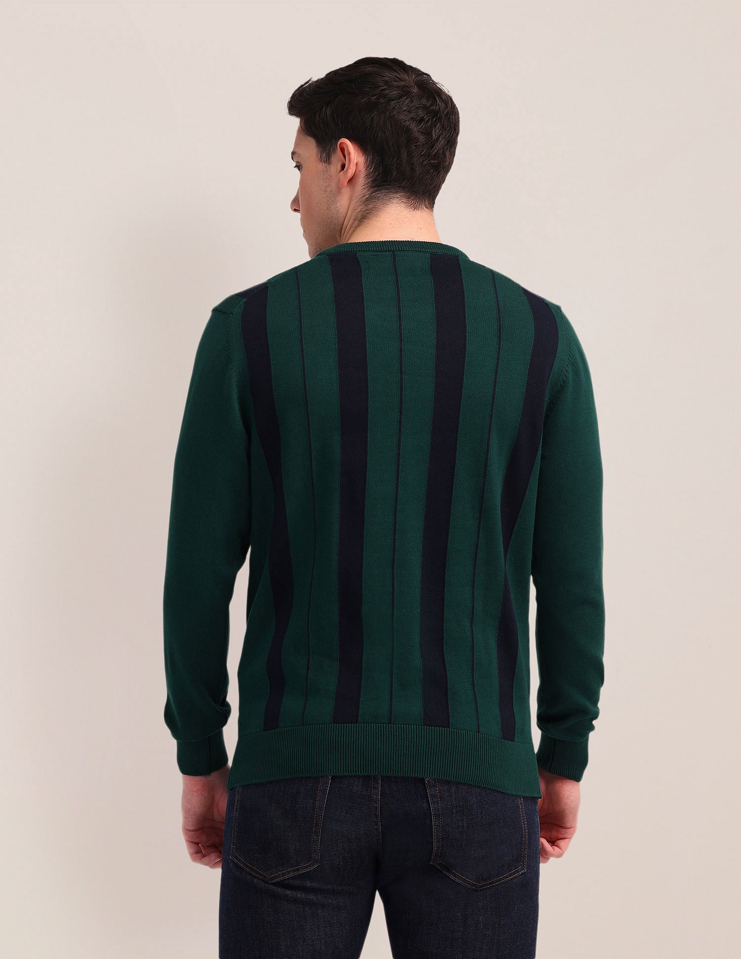 Vertical Striped Embroidered Sweater Olive - U.S. Polo Assn. India | Large