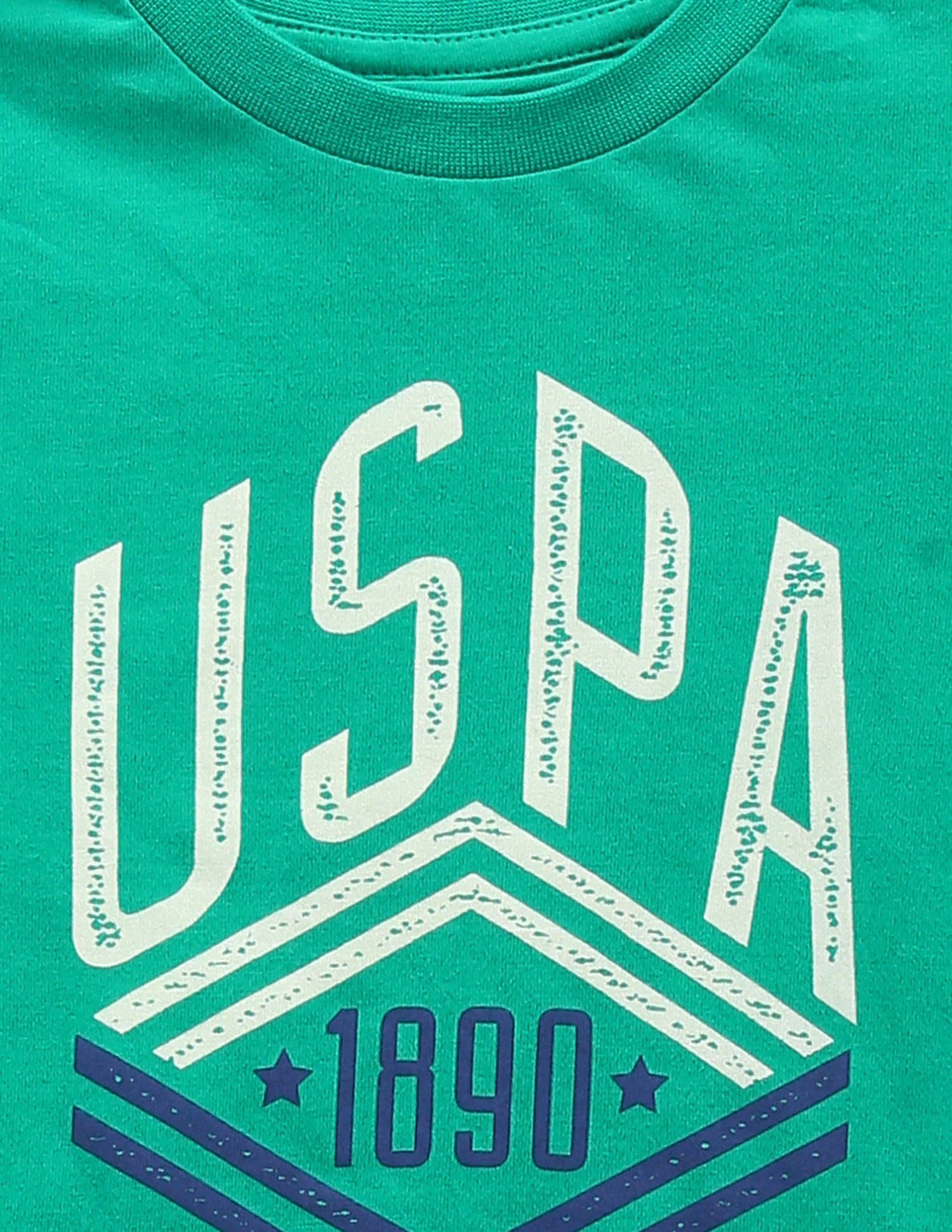 Boys Pure Cotton T-Shirt - Pack Of 2 Green and Navy - U.S. POLO ASSN. | Large